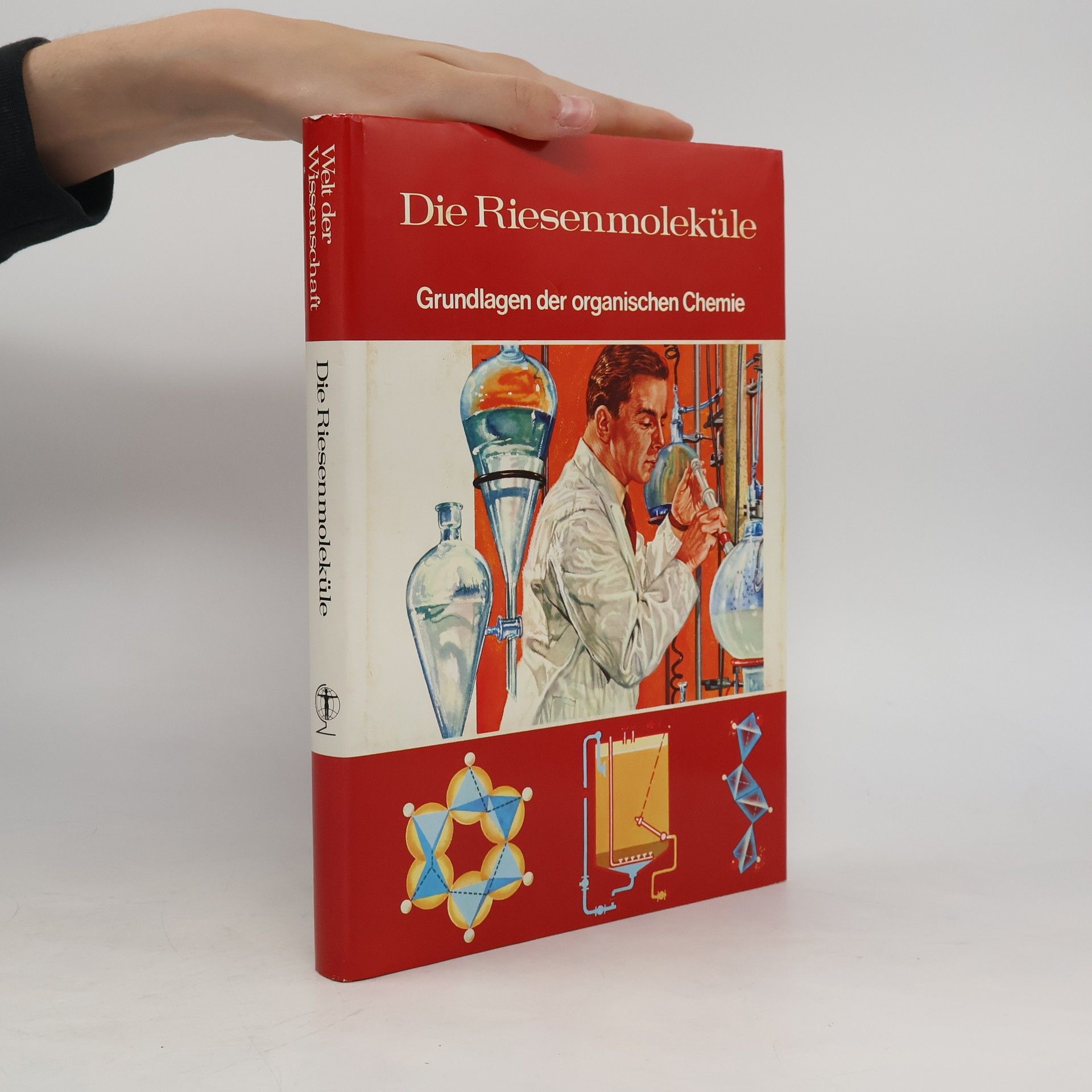 Kolektiv autorů Die Riesenmoleküle. Grundlagen der organischen Chemie
