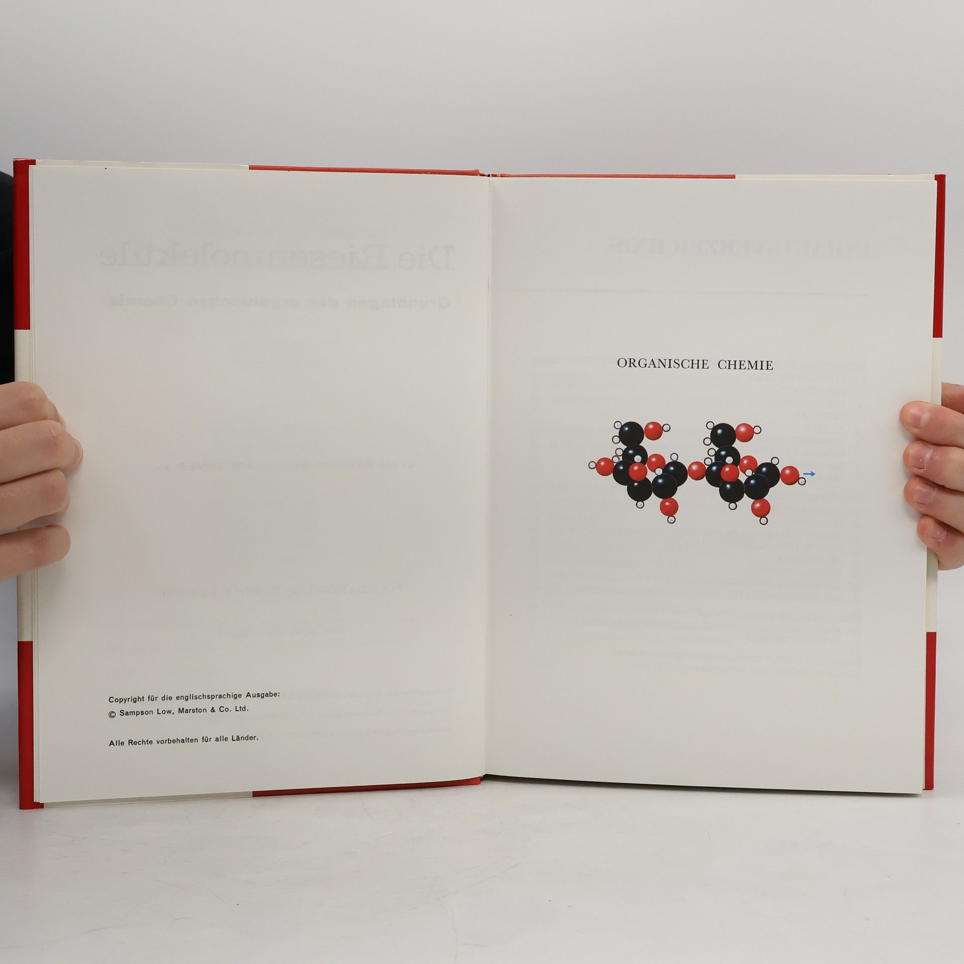 Kolektiv autorů Die Riesenmoleküle. Grundlagen der organischen Chemie