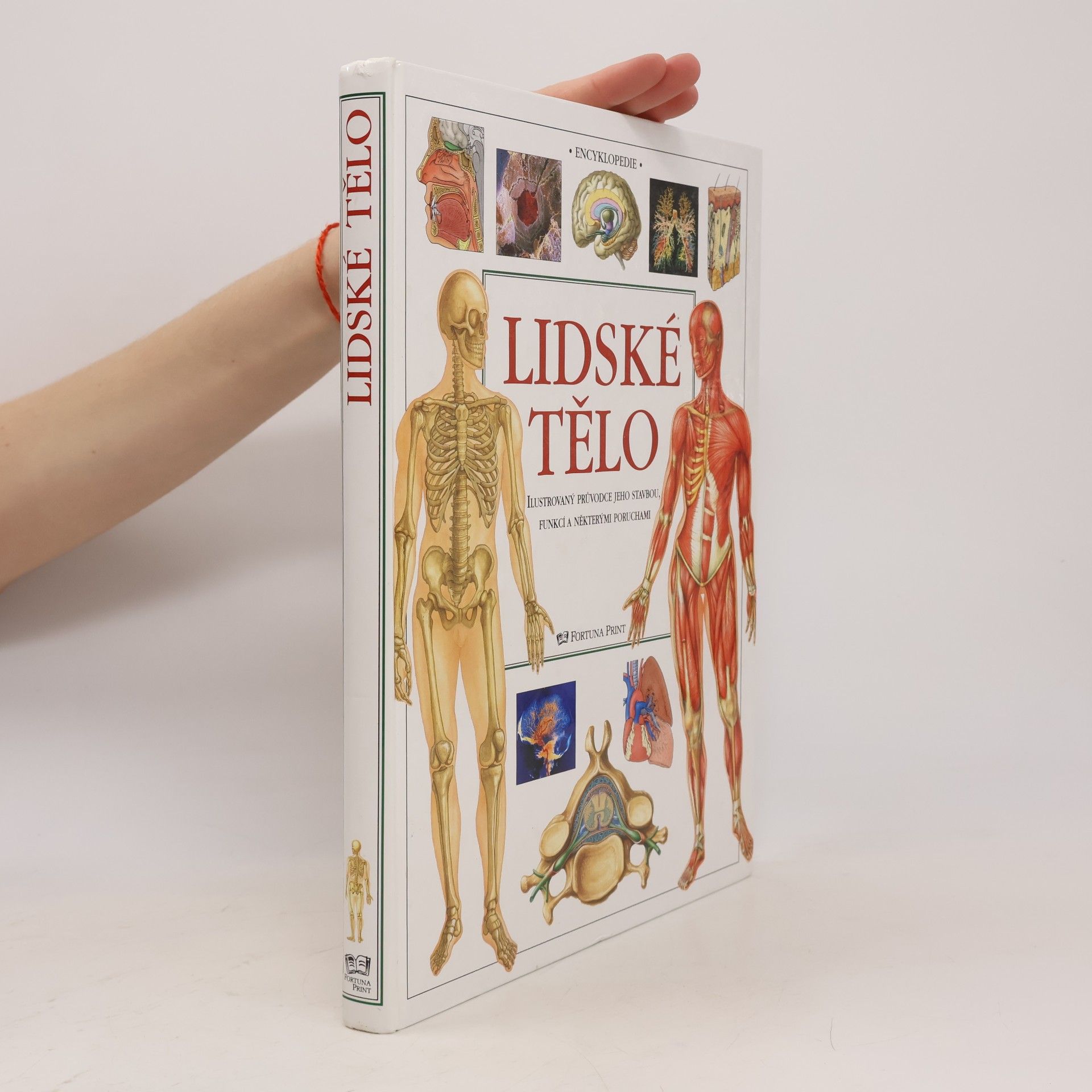Collectif d'auteurs Lidské tělo : ilustrovaný průvodce jeho stavbou, funkcí a některými poruchami