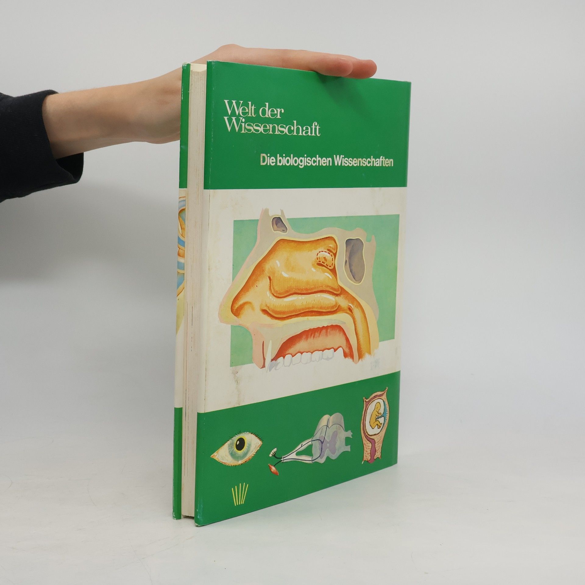 Autorenkollektiv Der menschliche Körper