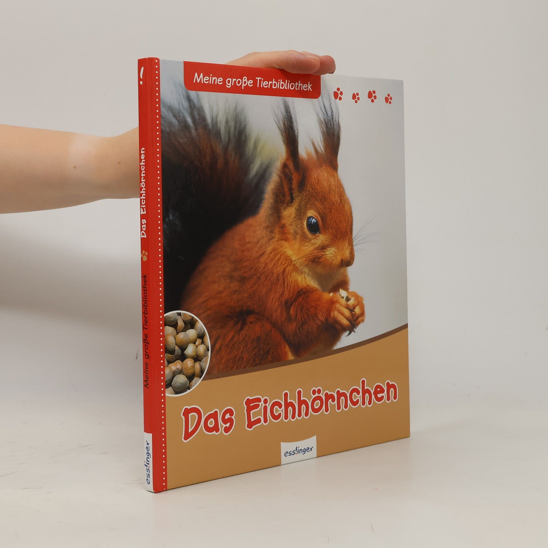 Stéphanie Ledu-Frattini Meine große Tierbibliothek: Das Eichhörnchen
