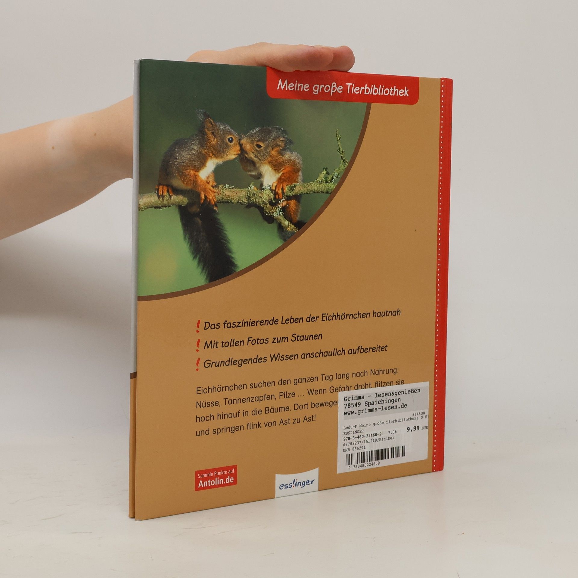 Stéphanie Ledu-Frattini Meine große Tierbibliothek: Das Eichhörnchen