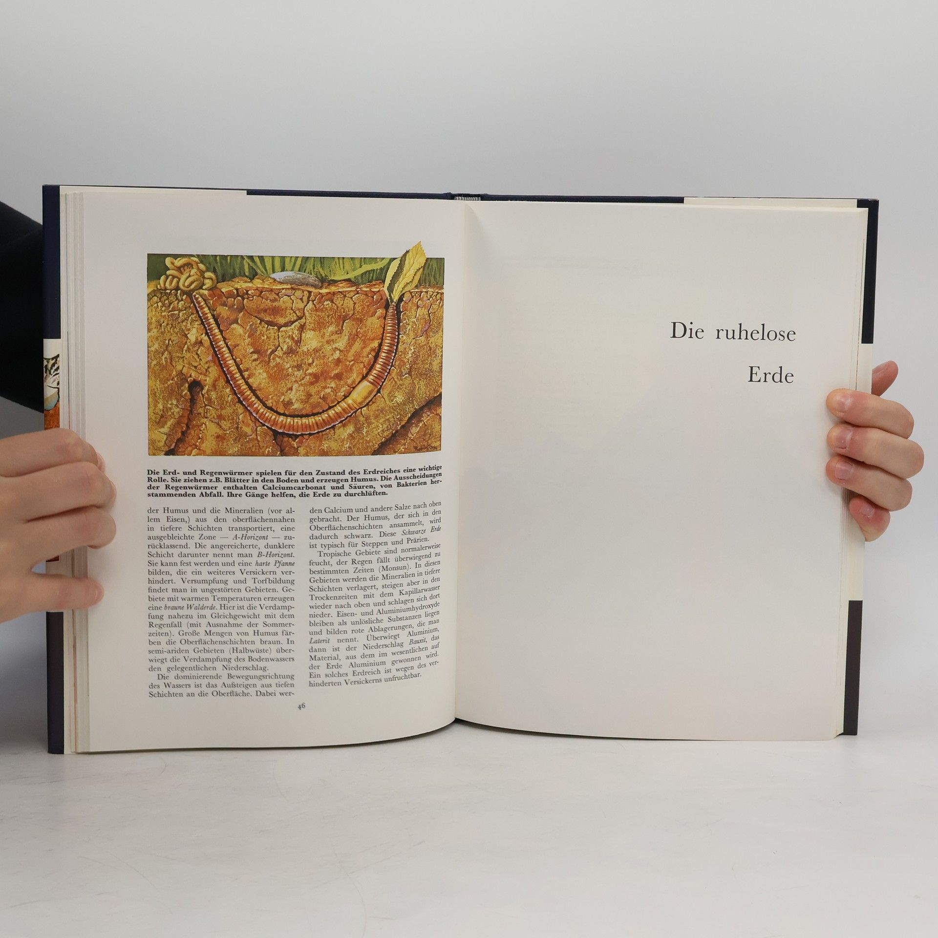 Michael Dempsey Unsere Erde. Grundlagen der Geologie und der Geomorphologie
