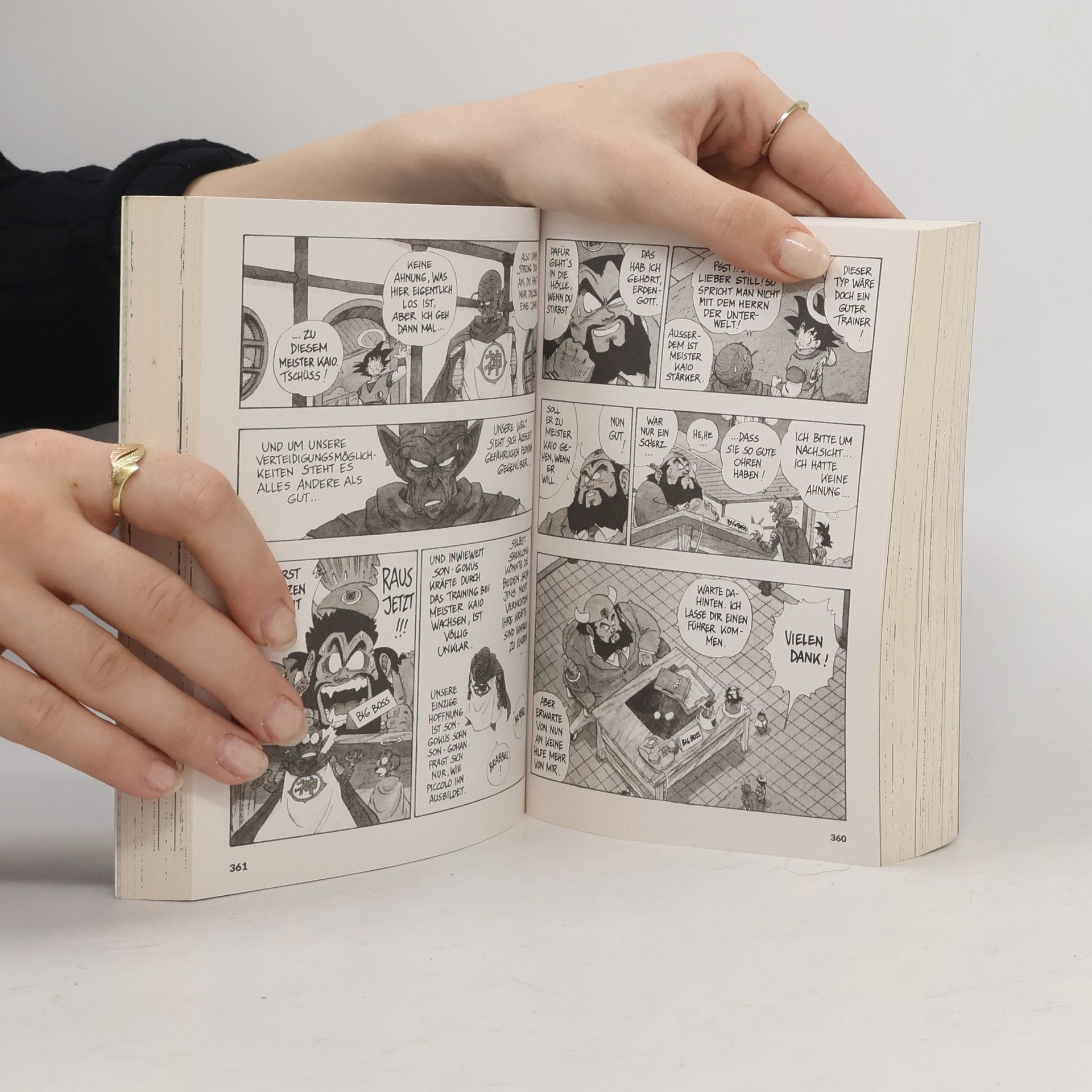 Akira Toriyama Dragon Ball Massiv 6