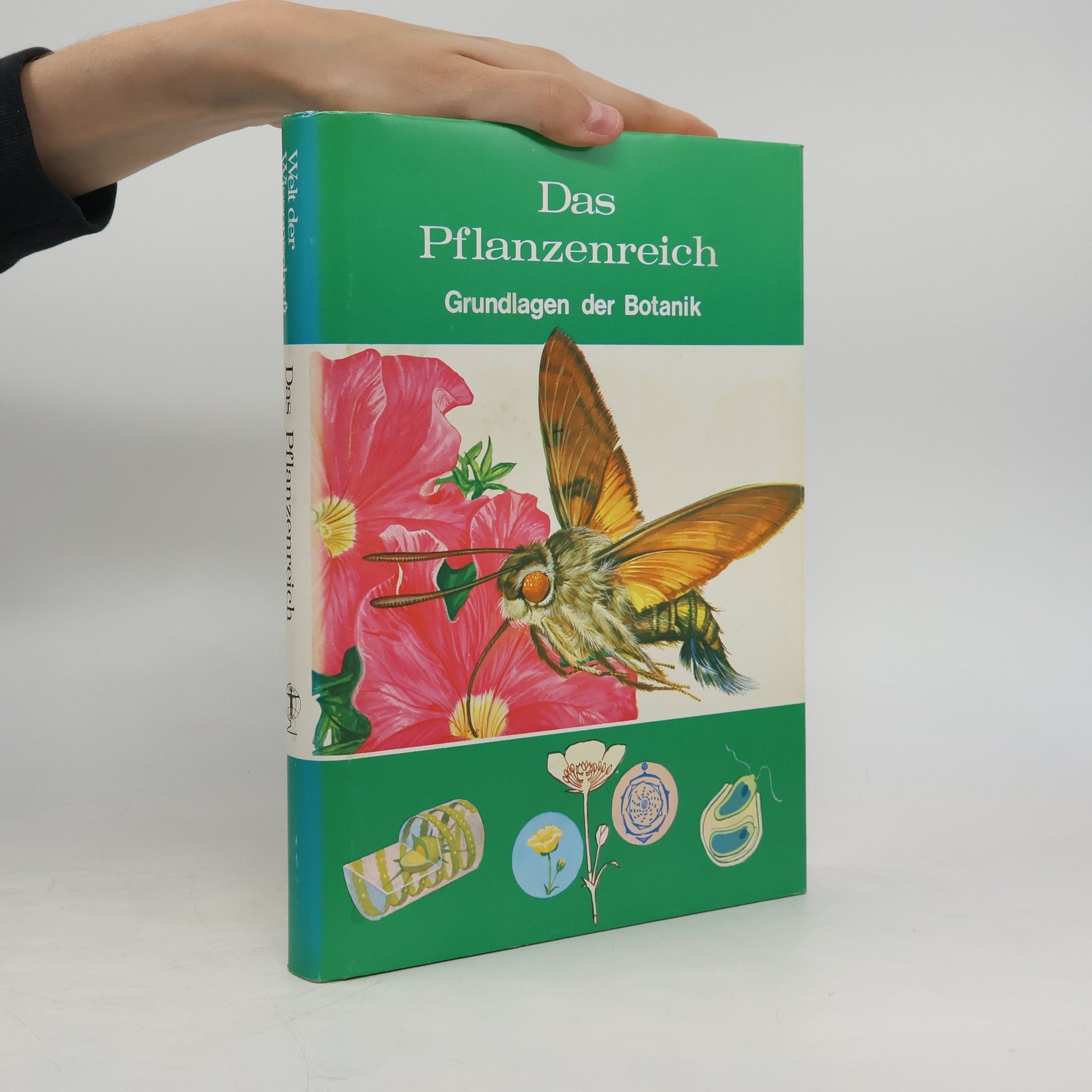 AA.VV. Das Pflanzenreich