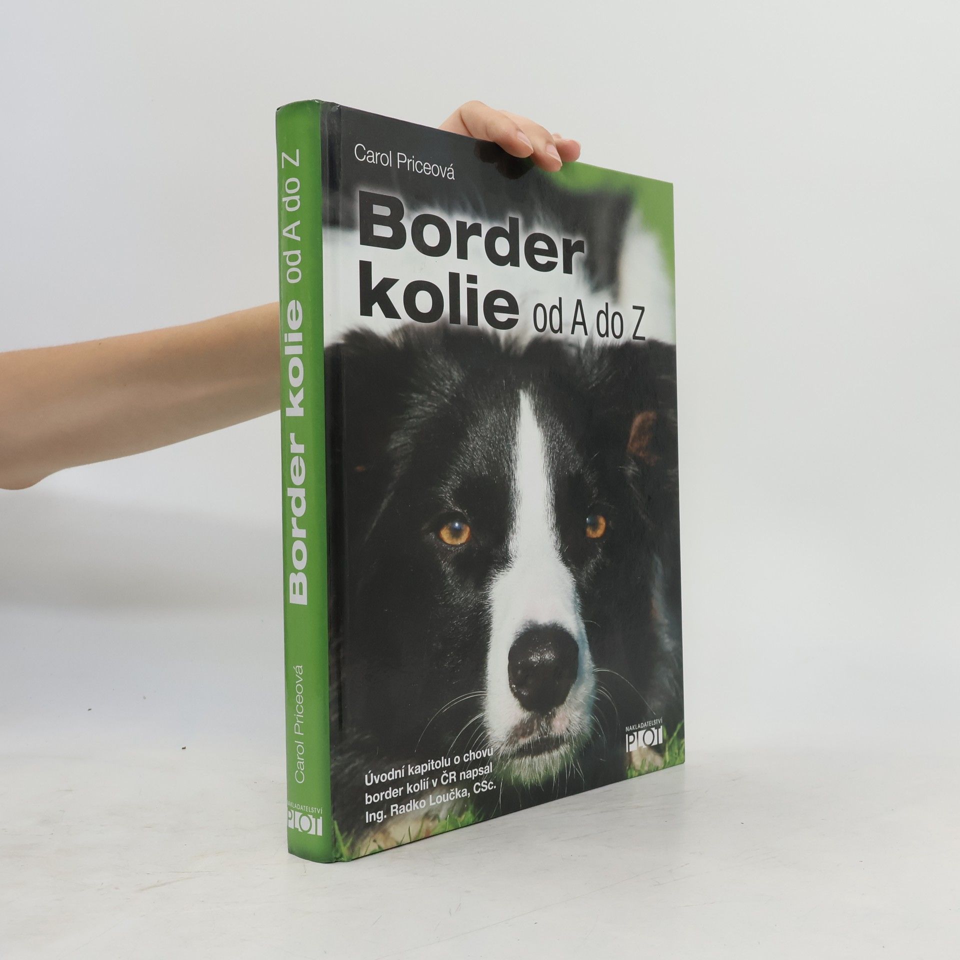 Carol Price Border kolie od A do Z
