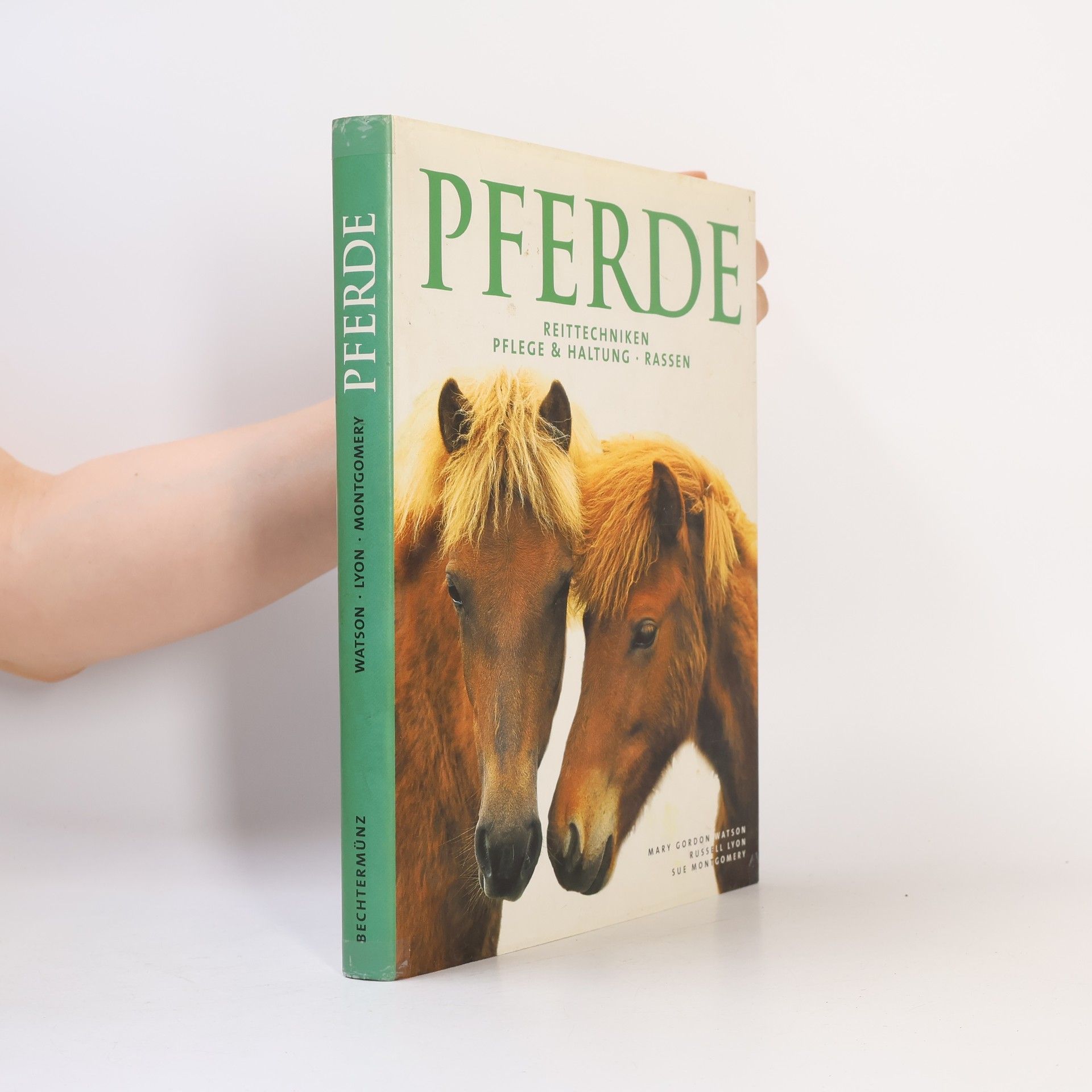 Sue Montgomery Pferde