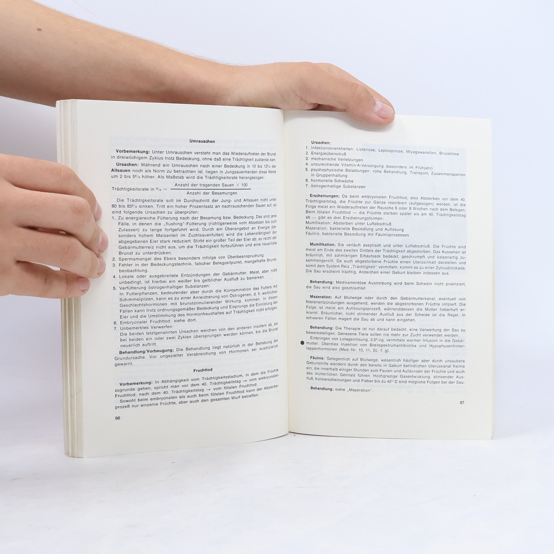 Reinhard Kaun Handbuch der intensiven Schweinehaltung: 2. völlig überarbeitete und verbesserte Auflage