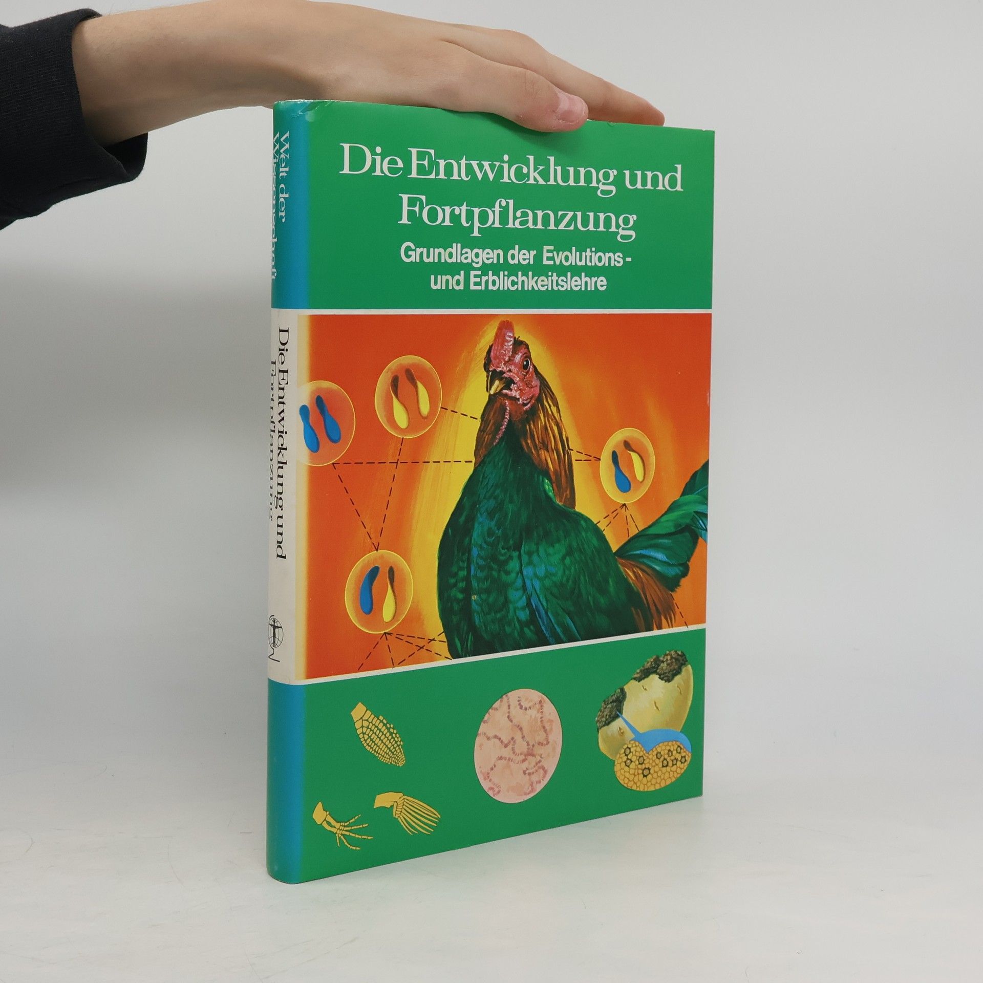 Autorenkollektiv Die Entwicklung und Fortpflanzung