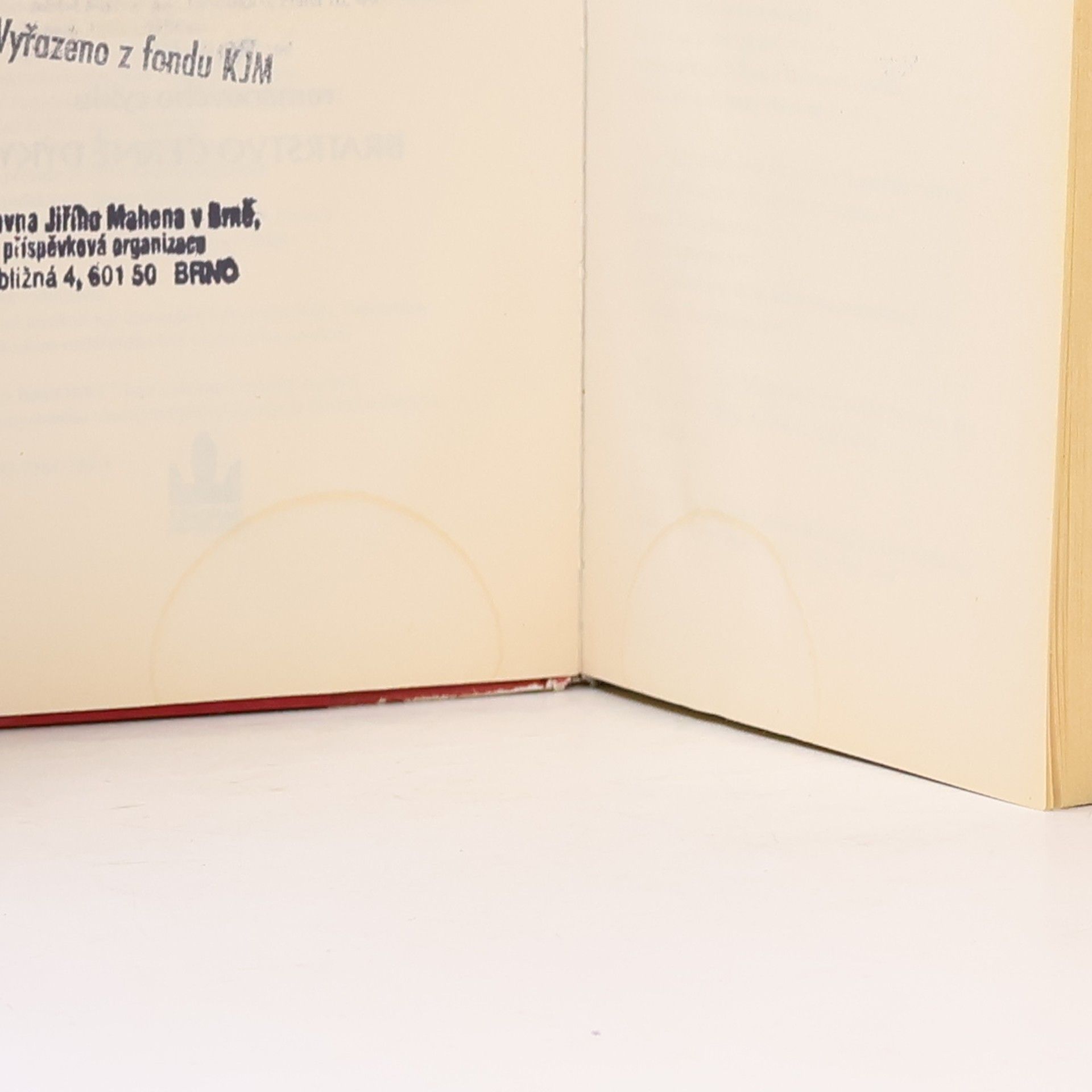 Jessica Rowley Pell Bird Blakemore Nespoutaný milenec
