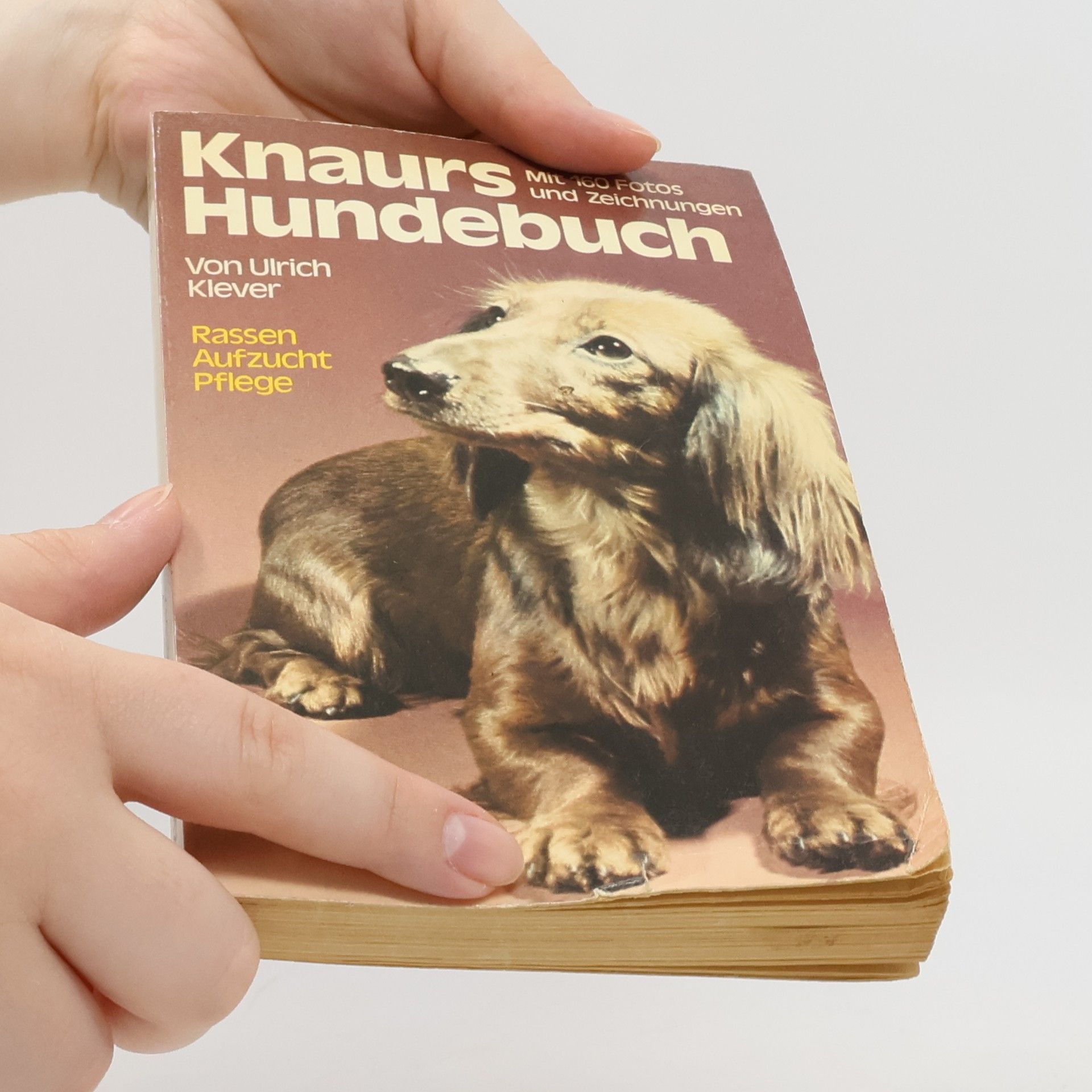 Ulrich Klever Knaurs Hundebuch