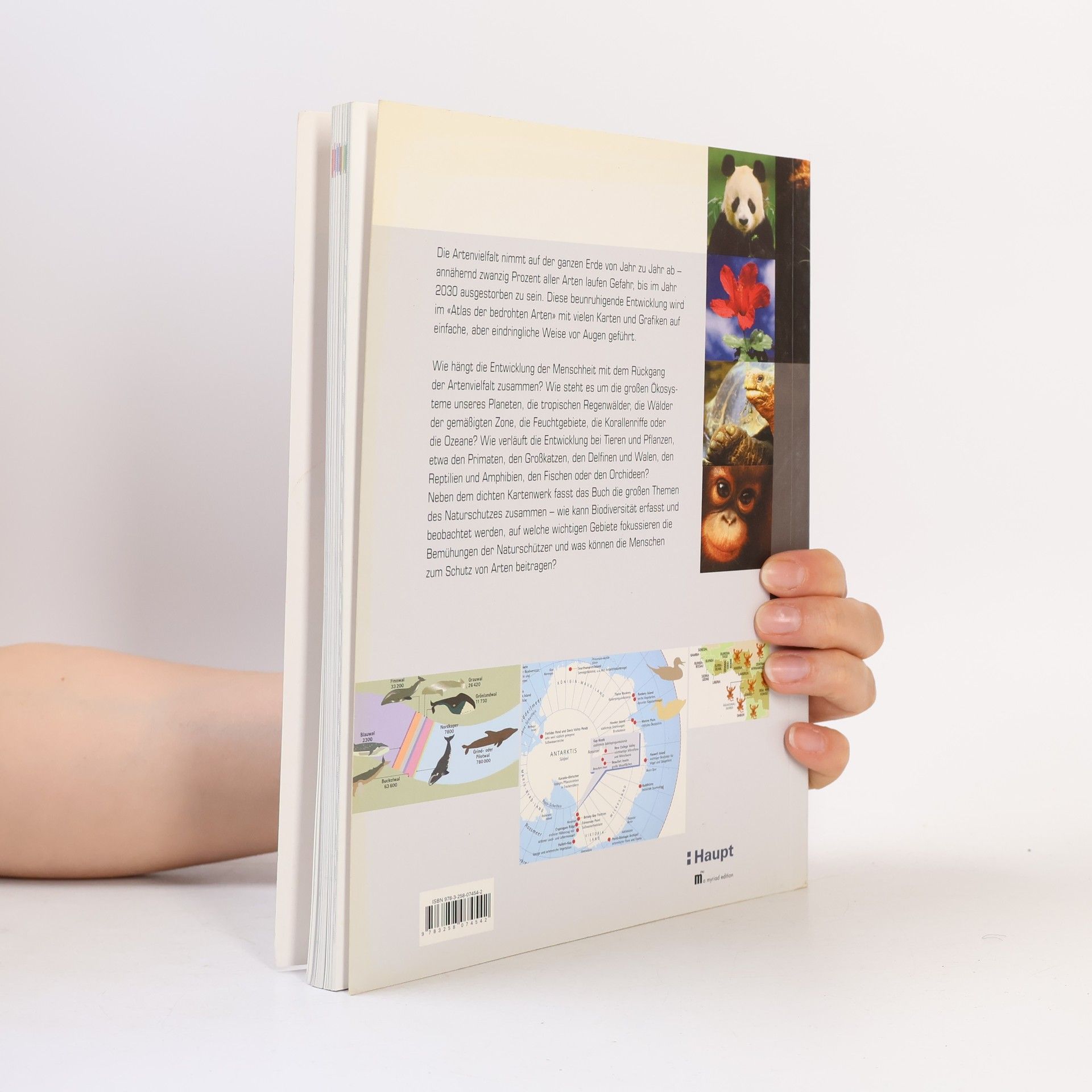 Michael Mackay Richards Atlas der bedrohten Arten