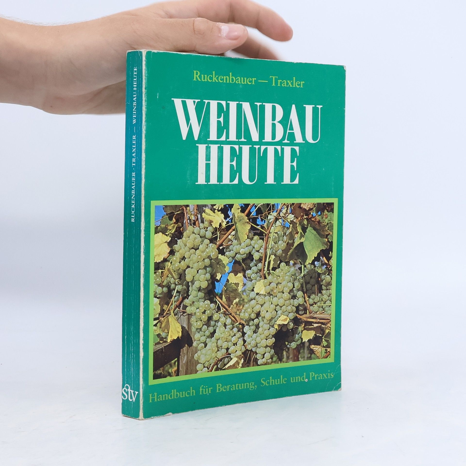 Weinbau heute