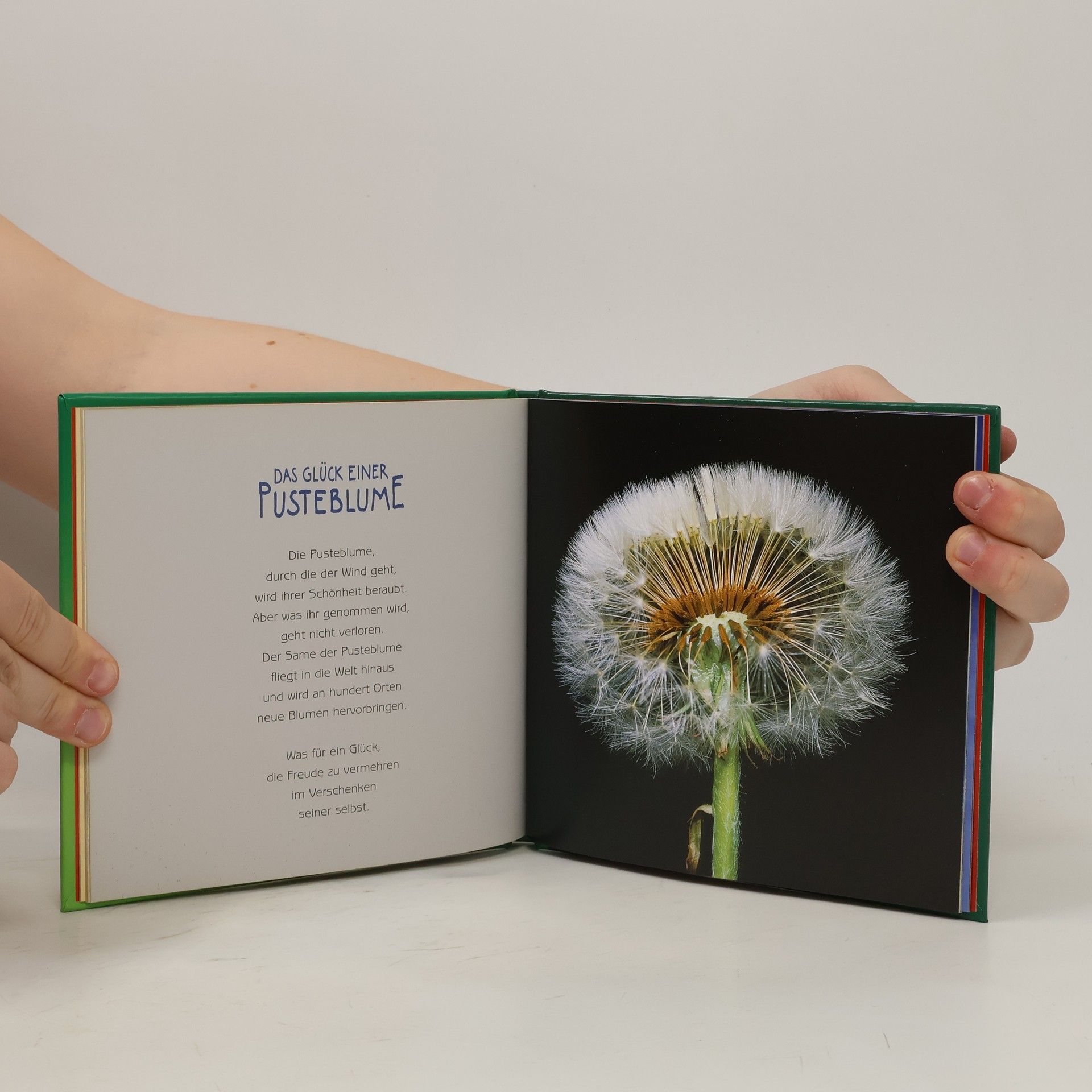 Renate Lehmacher Das kleine Buch vom Glücklichsein