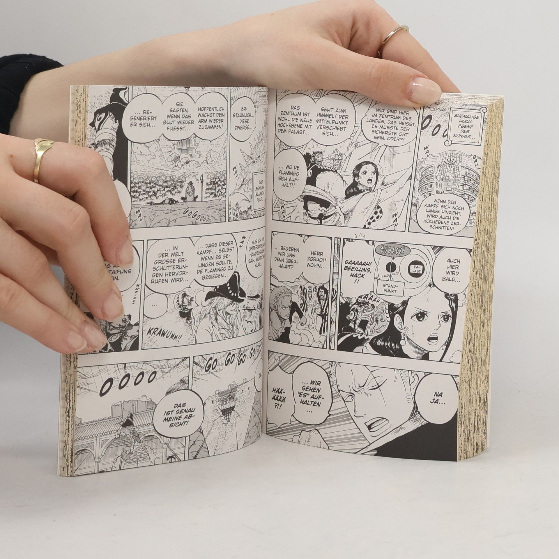 Eiichiro Oda Der Charismatiker des Bösen