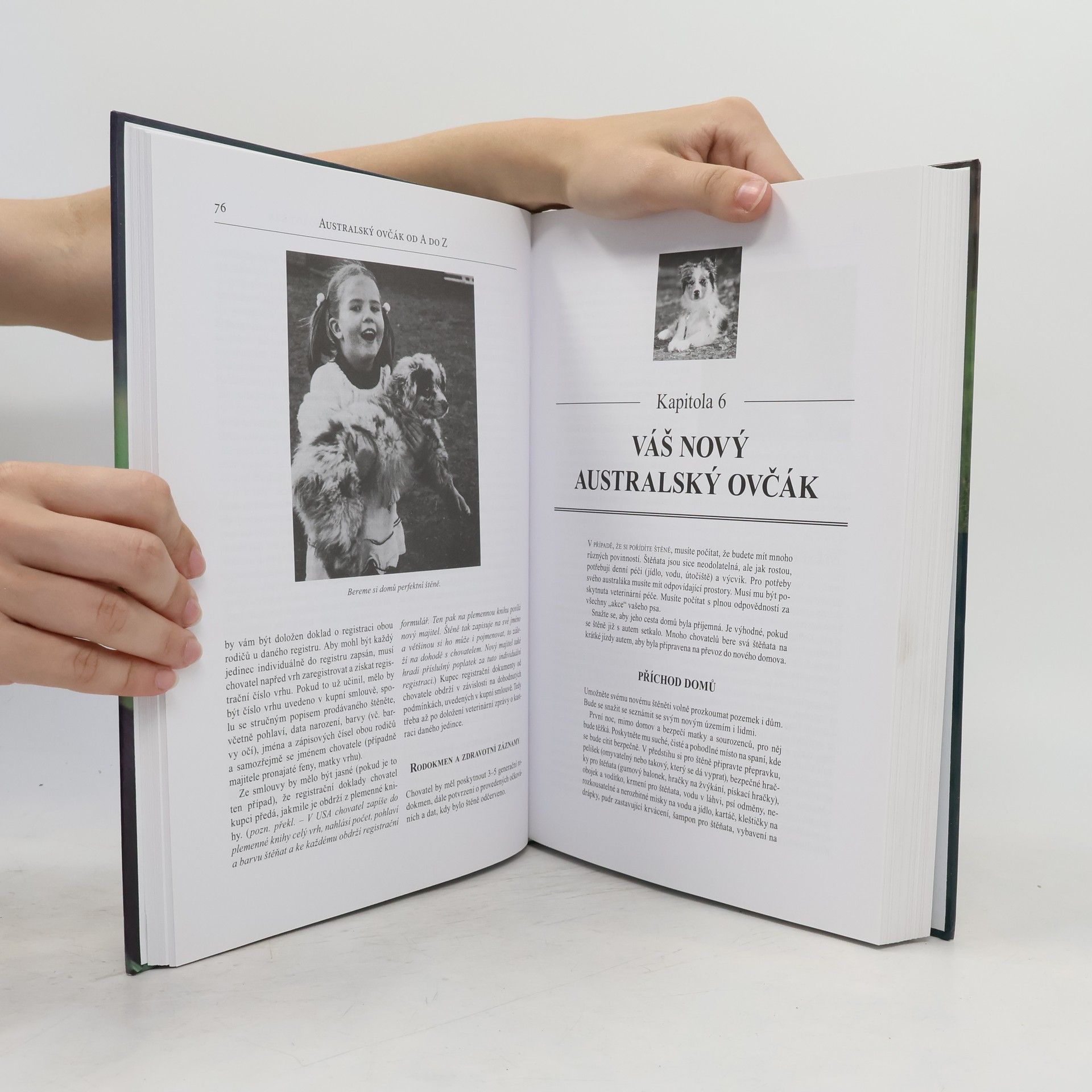 Jeanne Joy Hartnagle Taylor Australský ovčák od A do Z