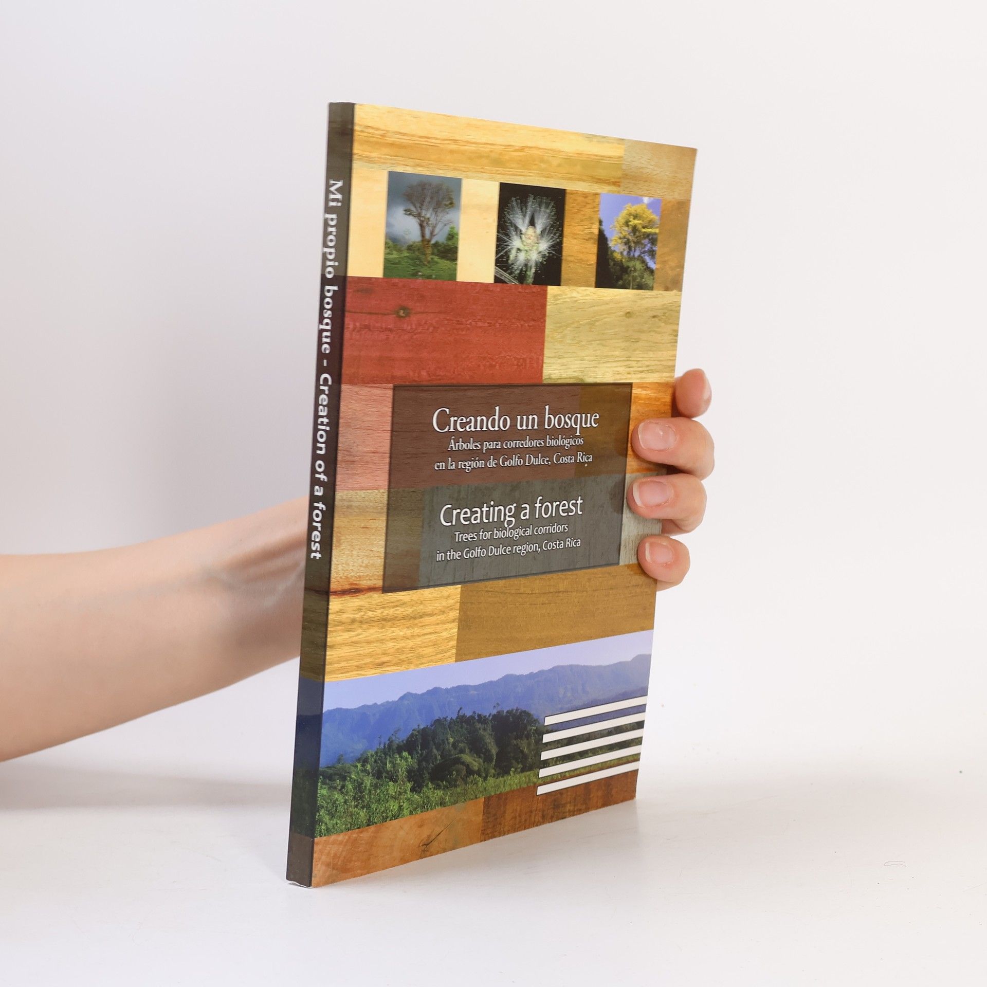 Auteurscollectief Creando un bosque. Creatin a Forest