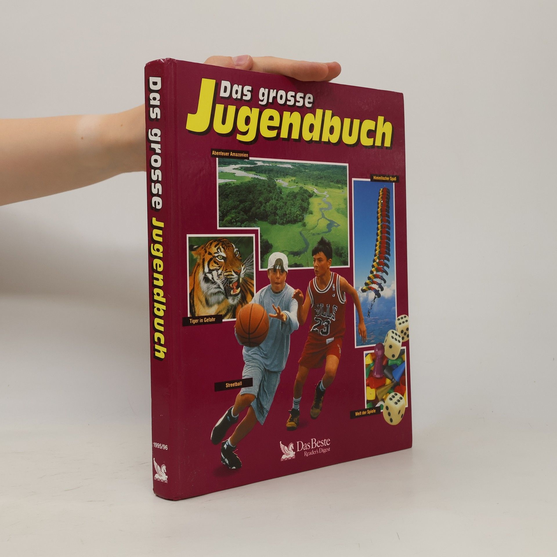 Collectif d'auteurs Das grosse Jugendbuch