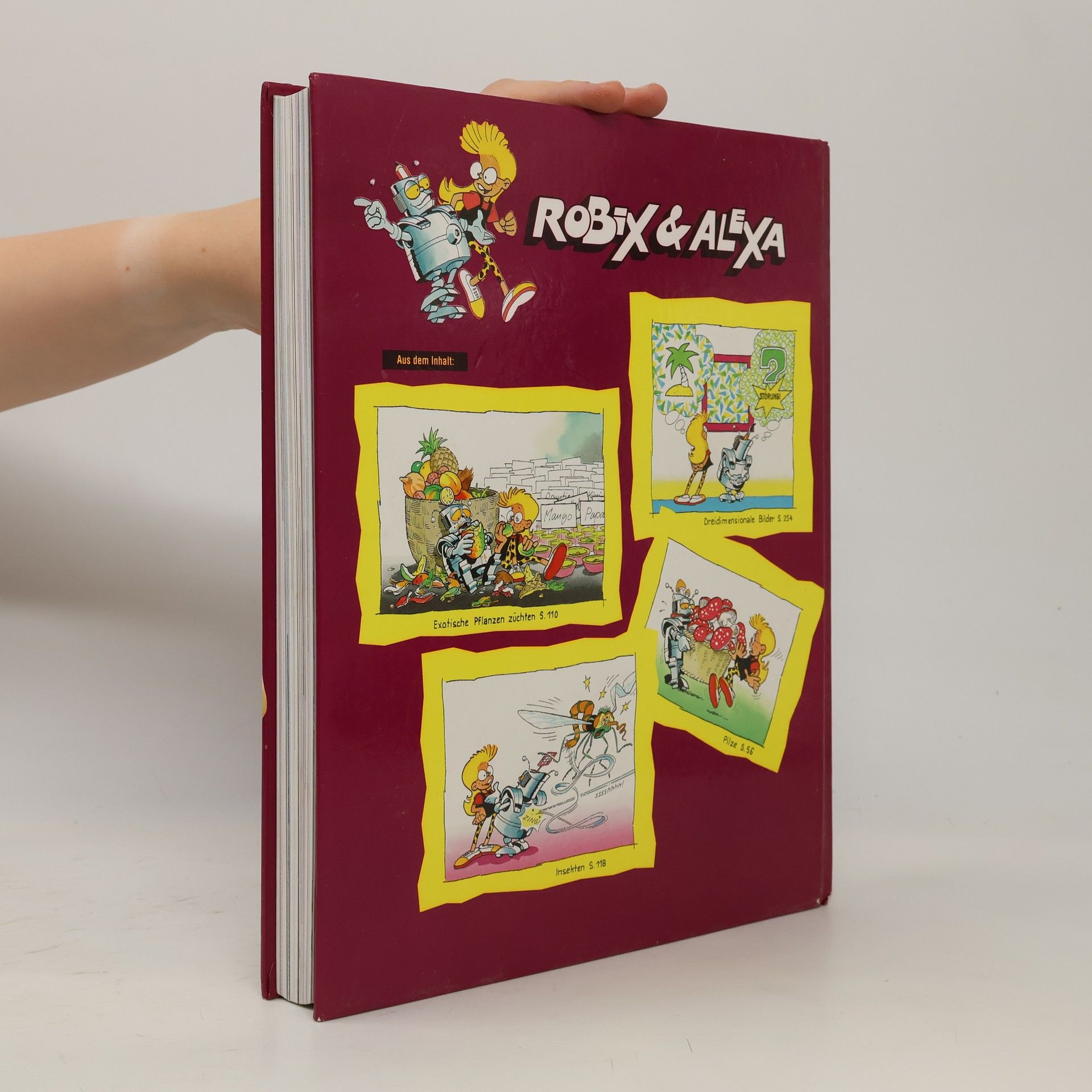 Collectif d'auteurs Das grosse Jugendbuch