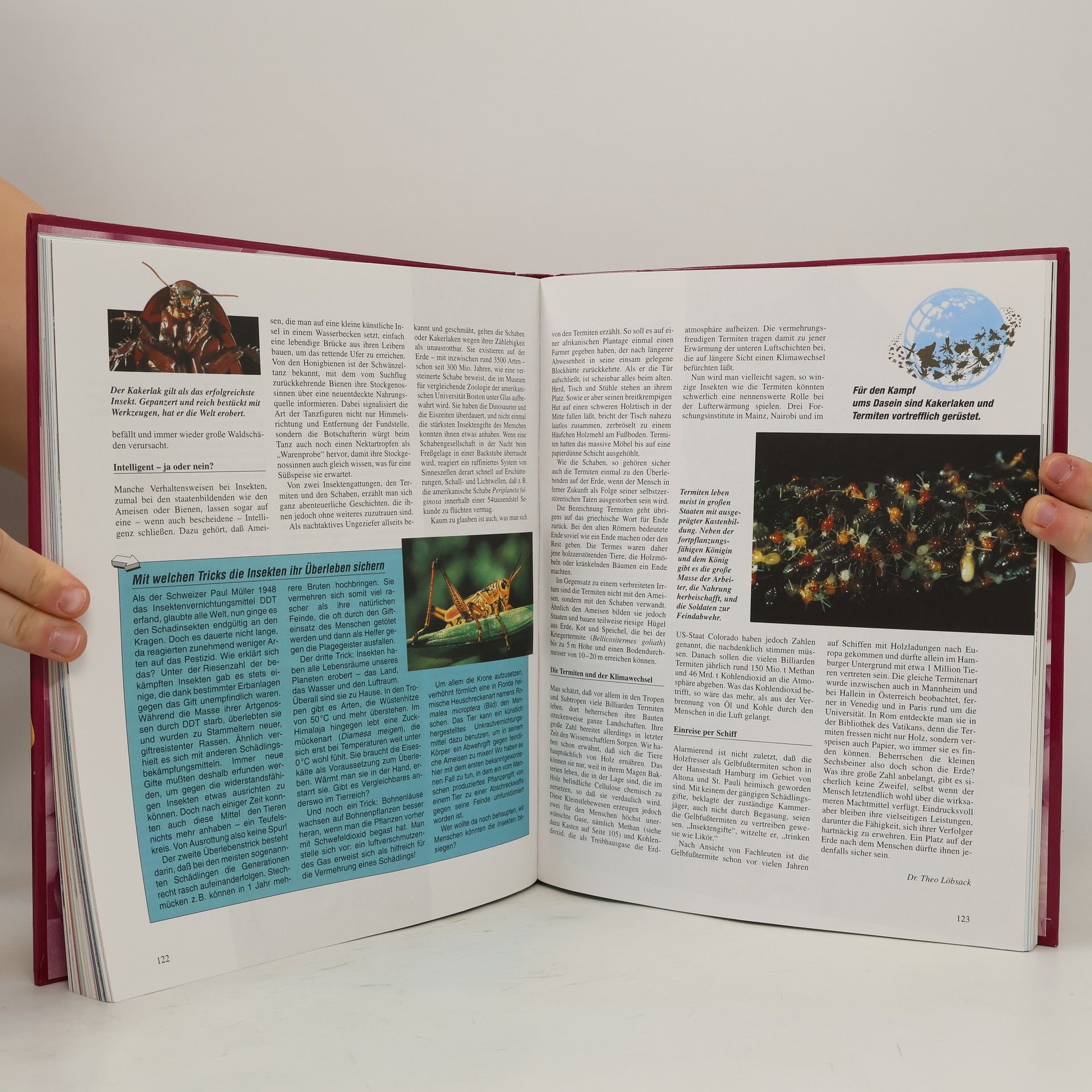 Collectif d'auteurs Das grosse Jugendbuch