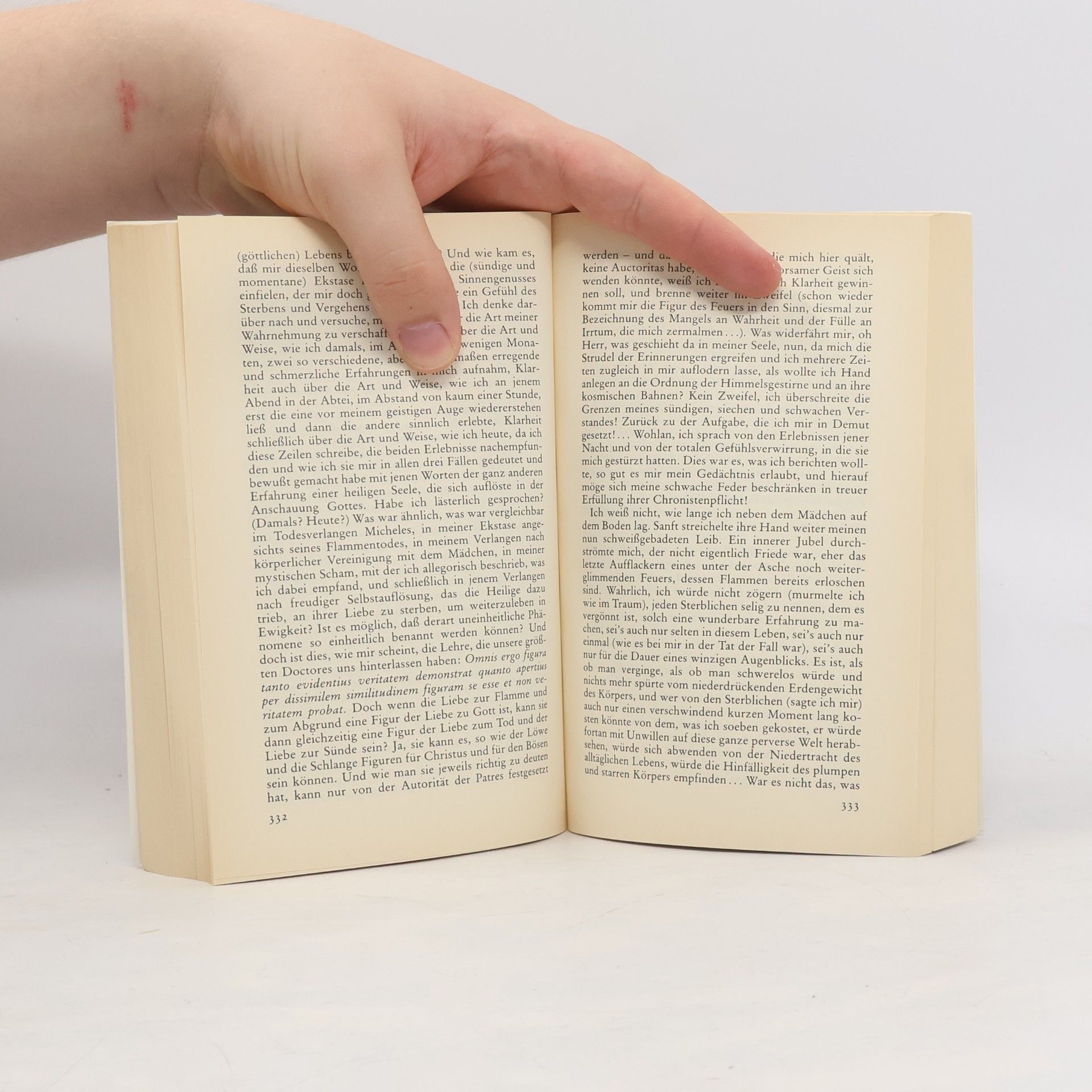 Umberto Eco Der Name der Rose