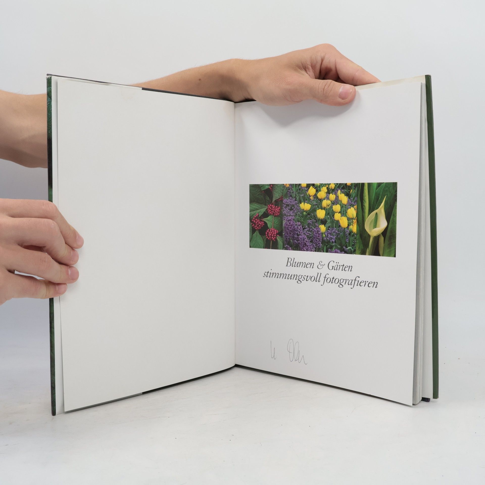 Clive Nichols Blumen & Gärten stimmungsvoll fotografieren