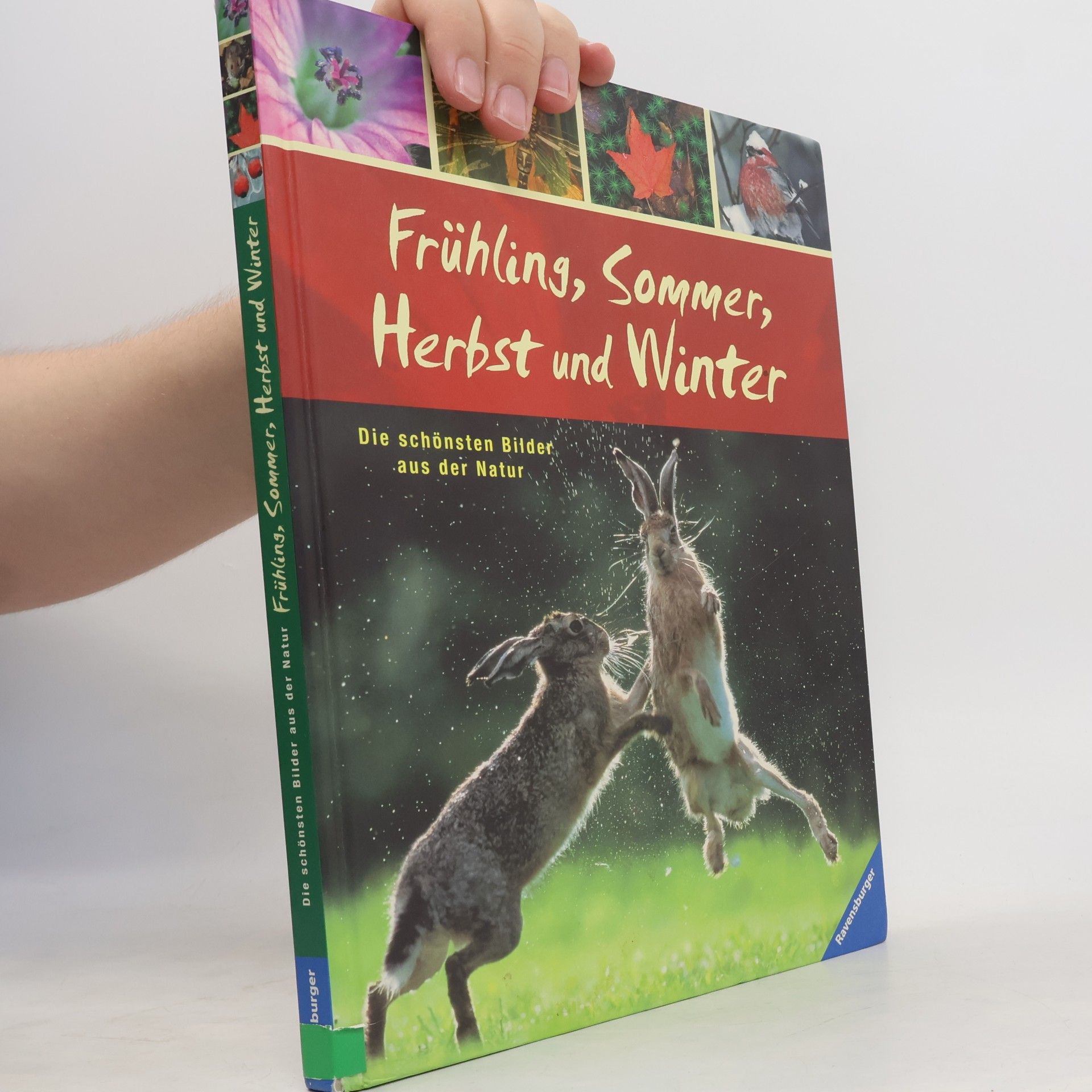 Béatrice Fontanel Frühling, Sommer, Herbst und Winter