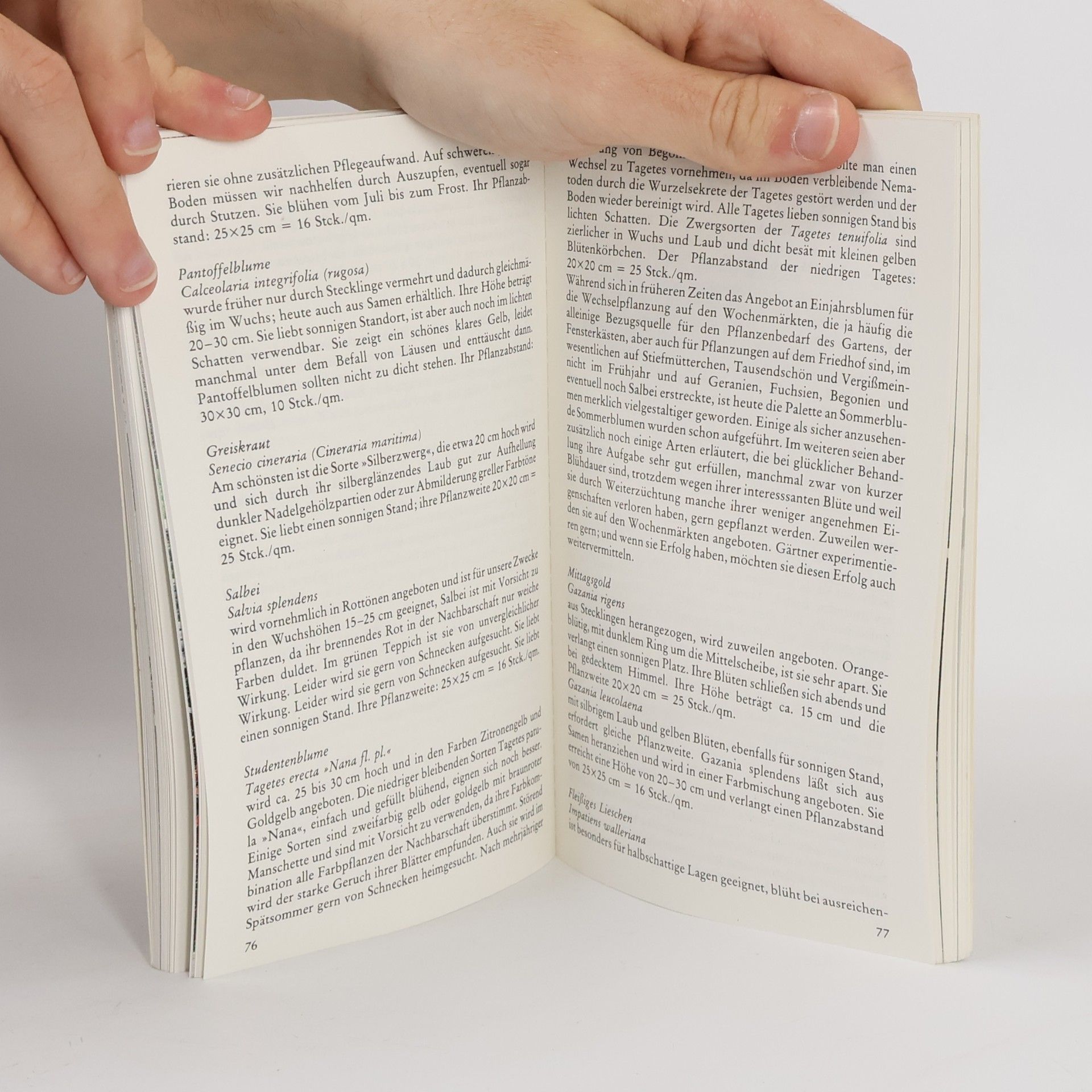 Autorenkollektiv Grabschmuck und -bepflanzung im Jahreslauf