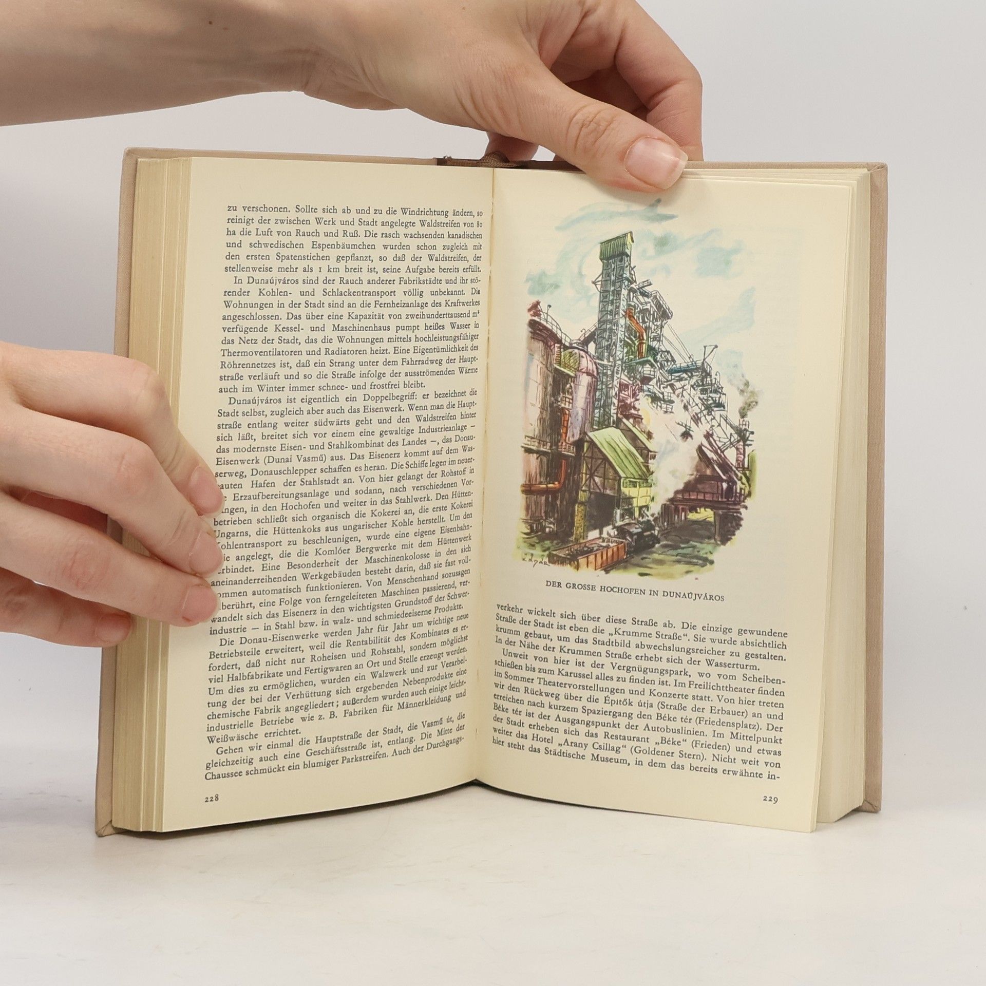 Autores varios Ungarn