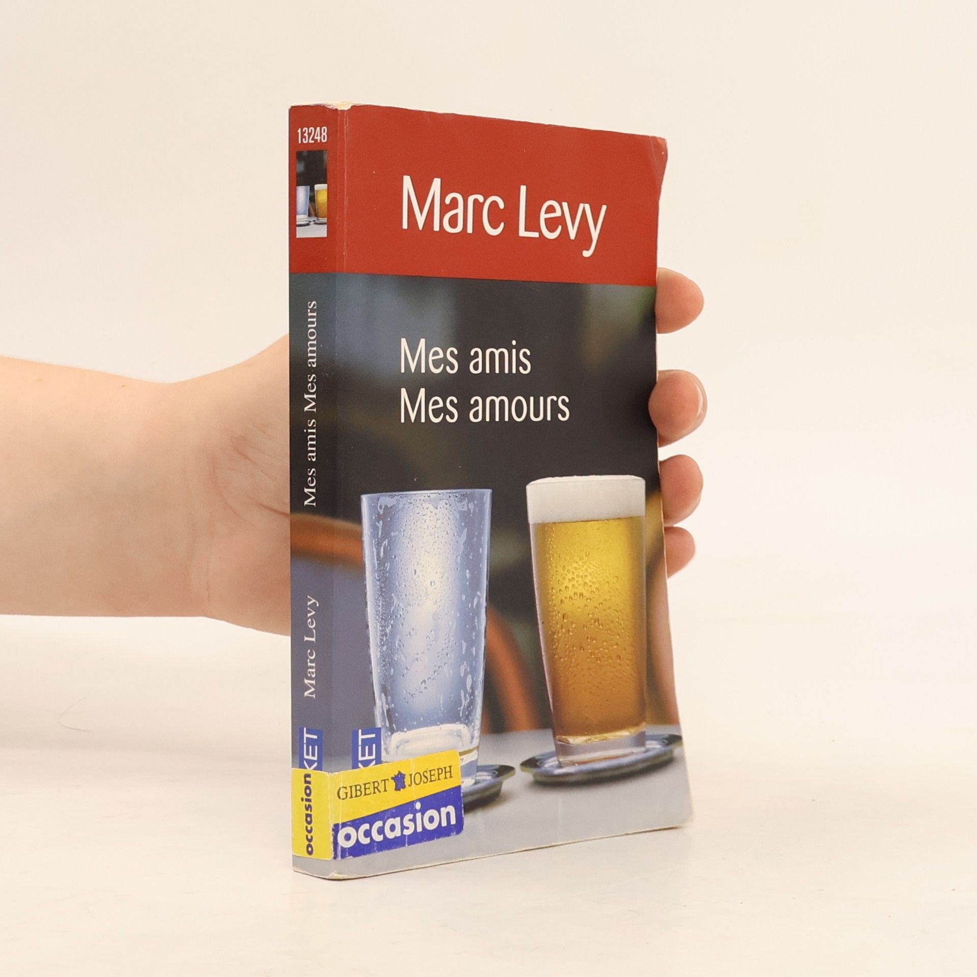 Marc Levy Mes amis, mes amours