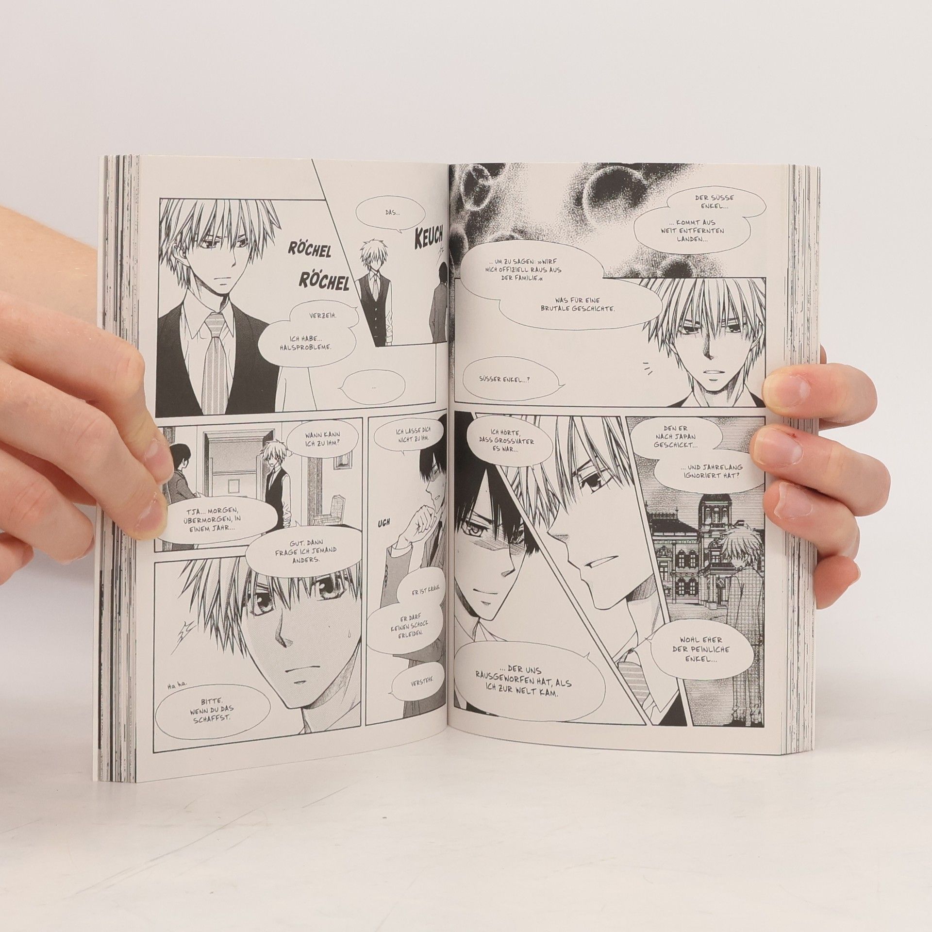 Hiro Fujiwara Maid-sama