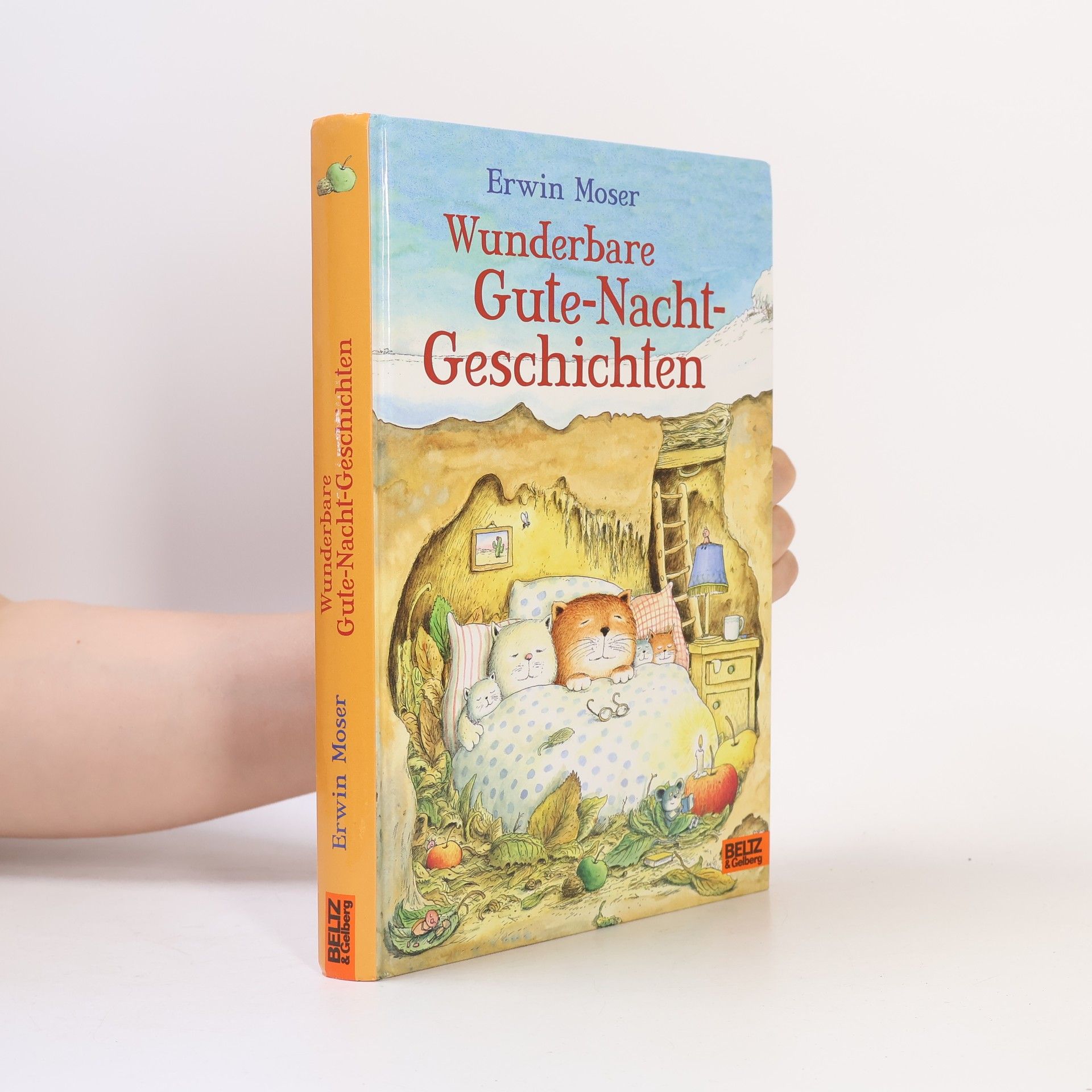 Wunderbare Gute-Nacht-Geschichten
