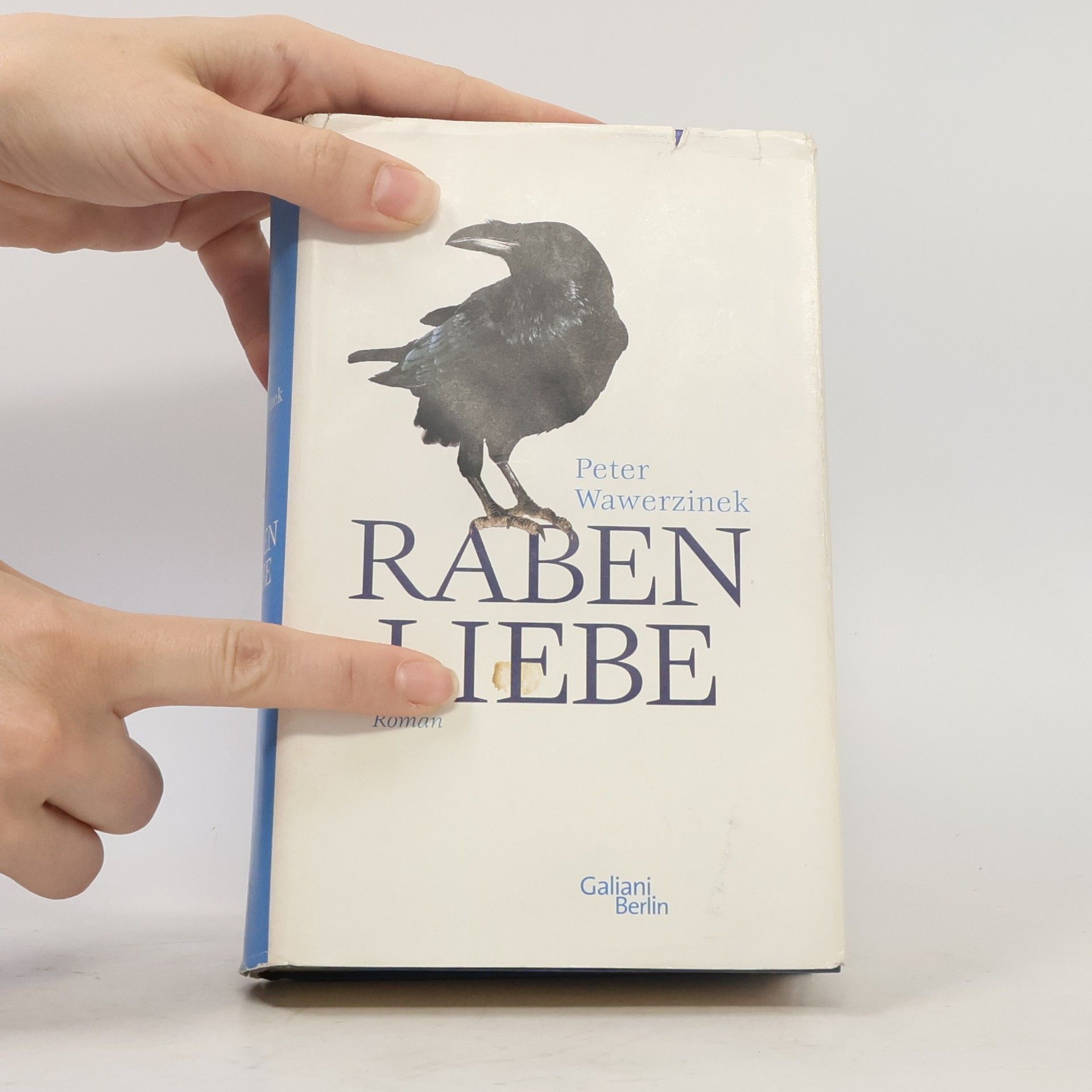 Peter Wawerzinek Rabenliebe