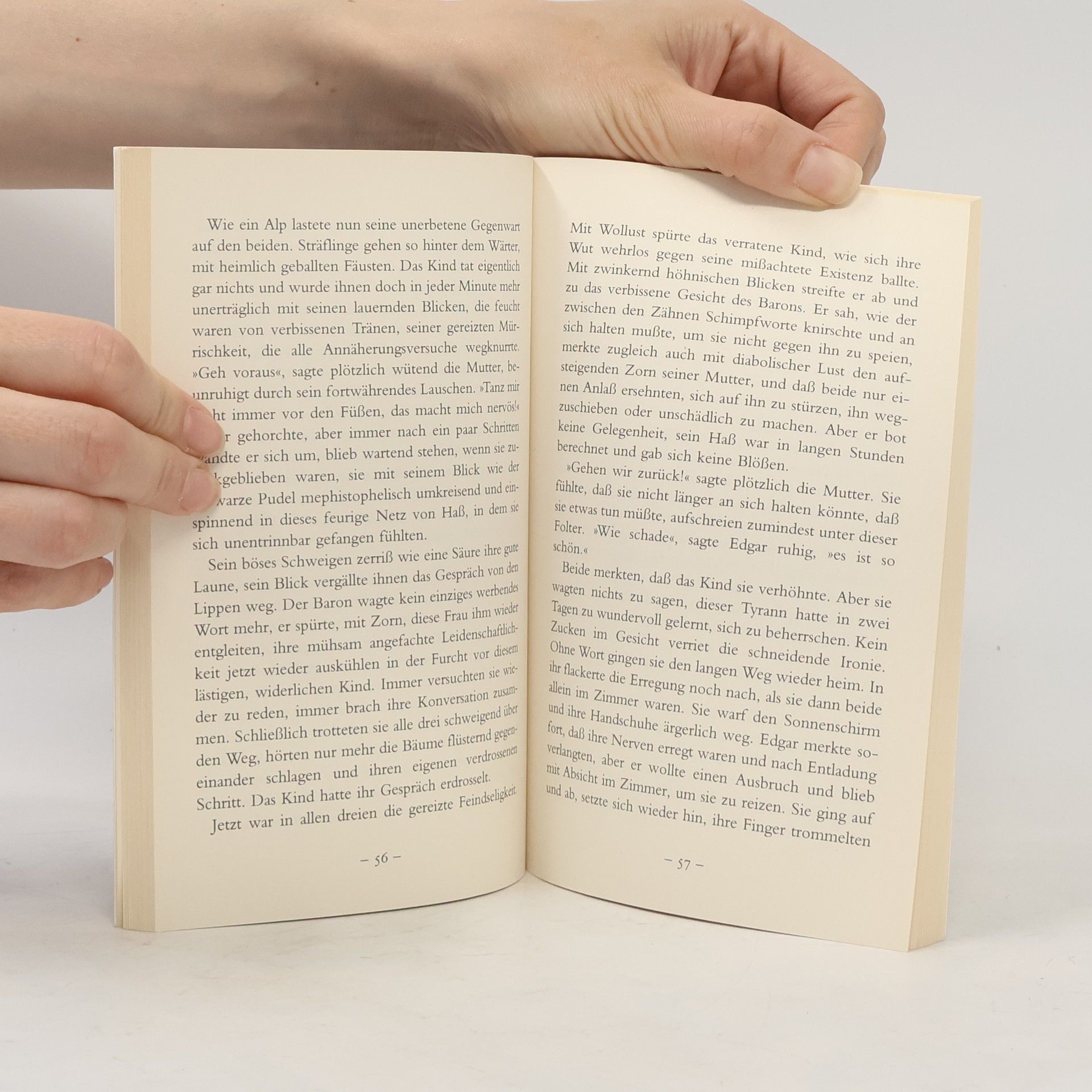 Stefan Zweig Brennendes Geheimnis