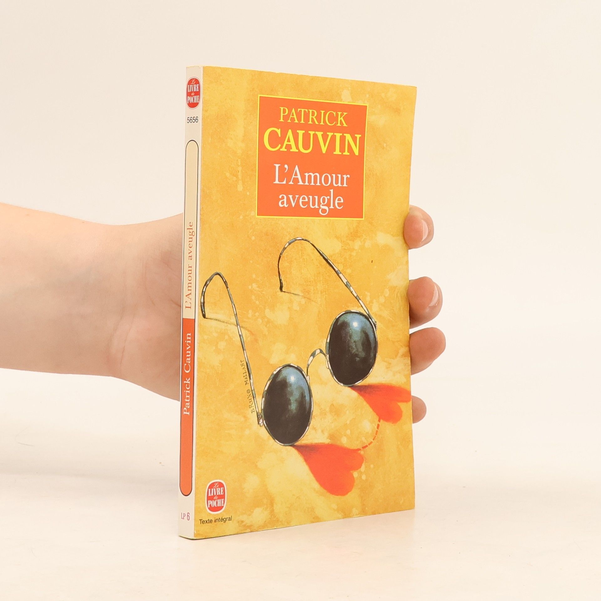 Patrick Cauvin L'amour aveugle