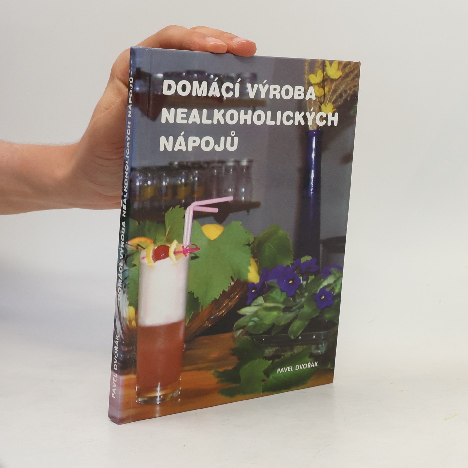 Pavel Dvořák Domácí výroba nealkoholických nápojů