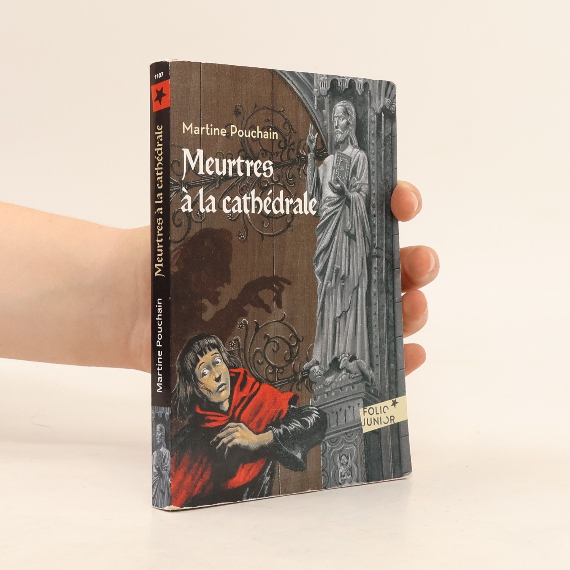 Martine Pouchain Meurtres à la cathédrale