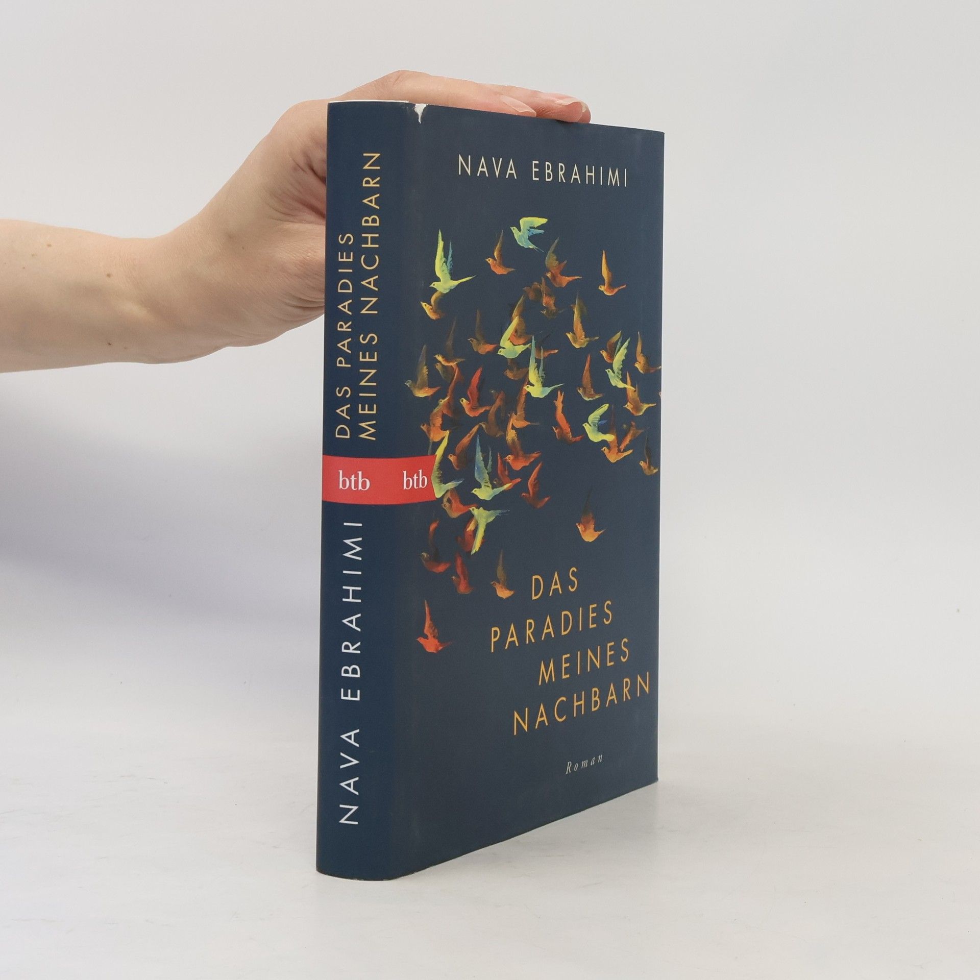 Nava Ebrahimi Das Paradies meines Nachbarn