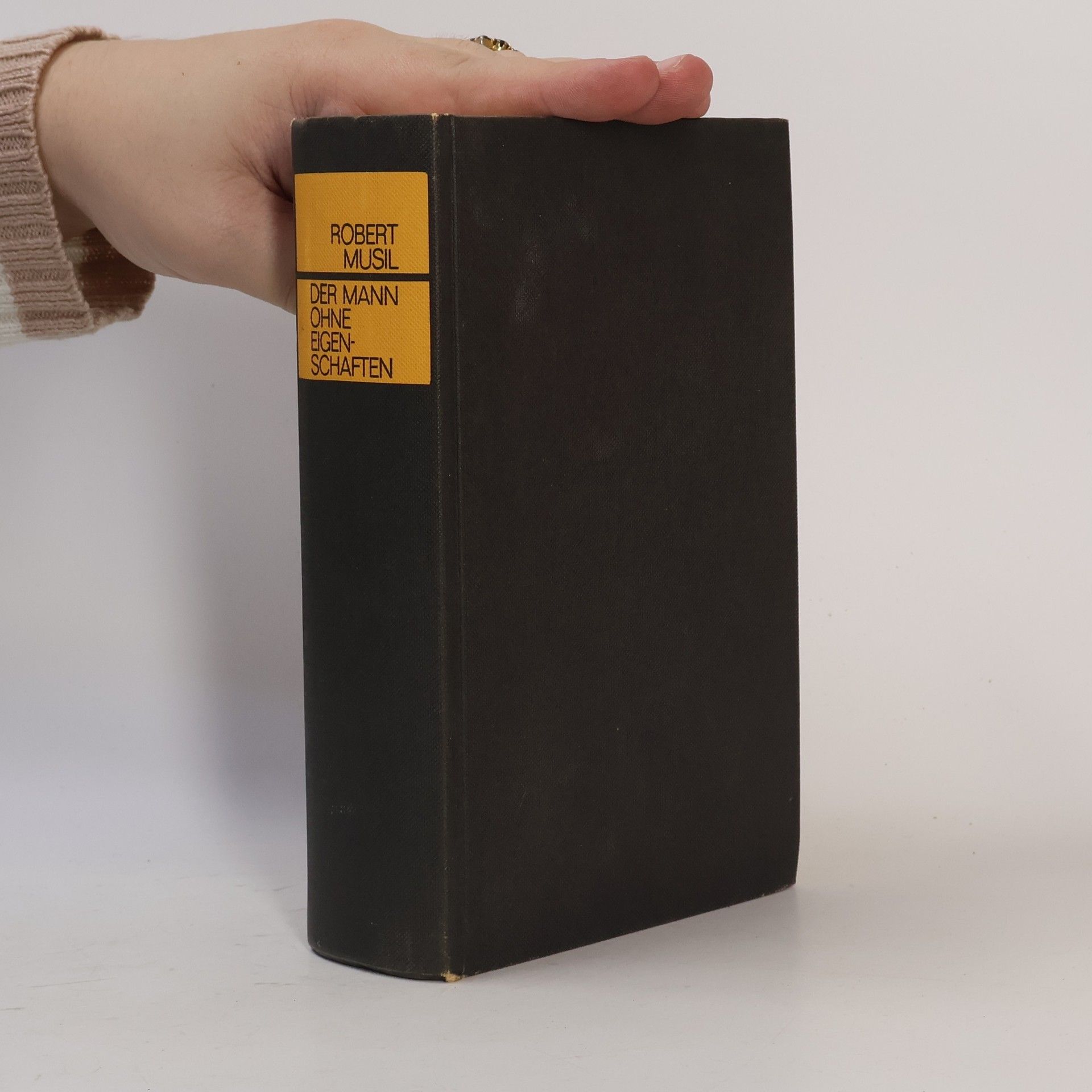 Robert Musil Der Mann ohne Eigenschaften