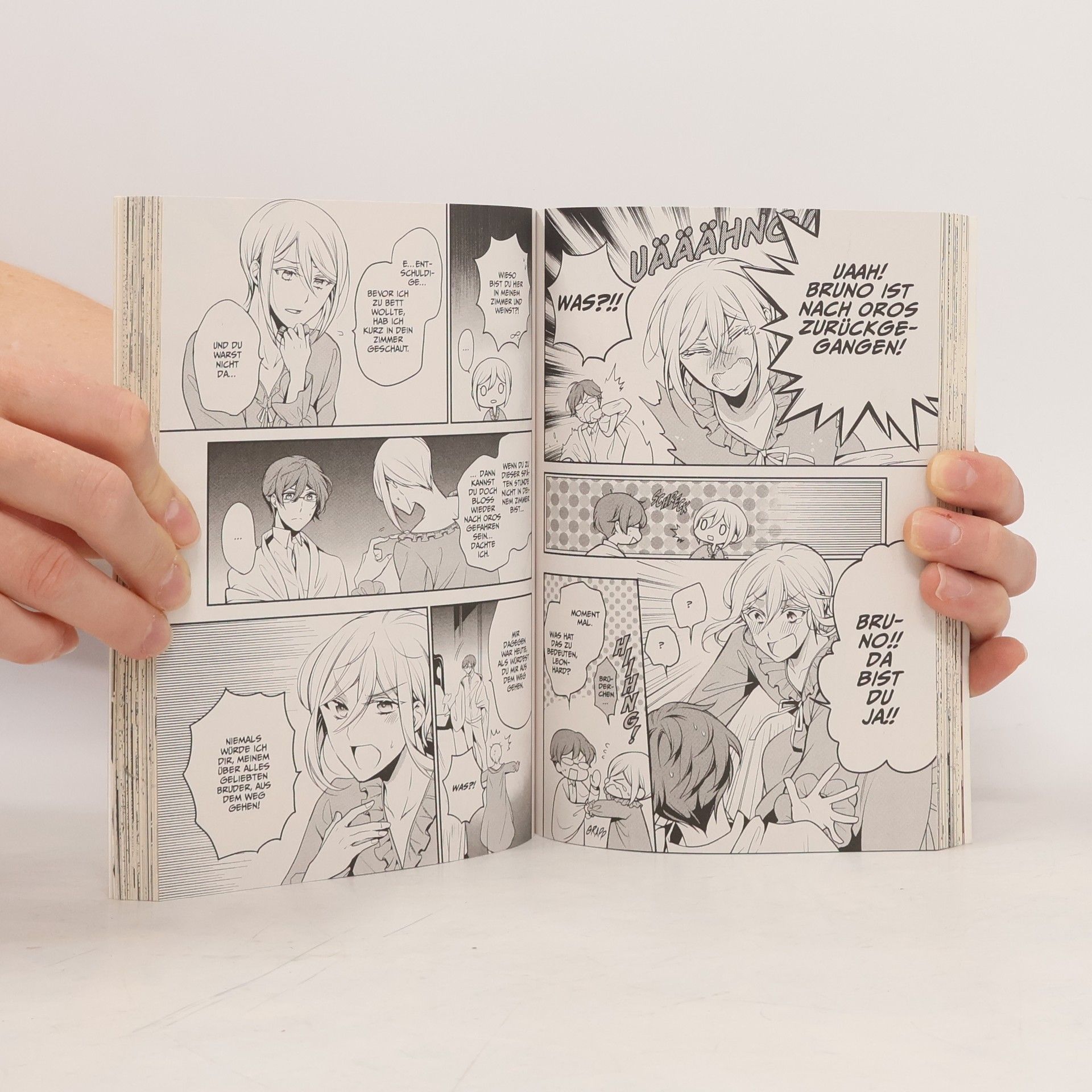 Higasa Akai The Royal Tutor 11