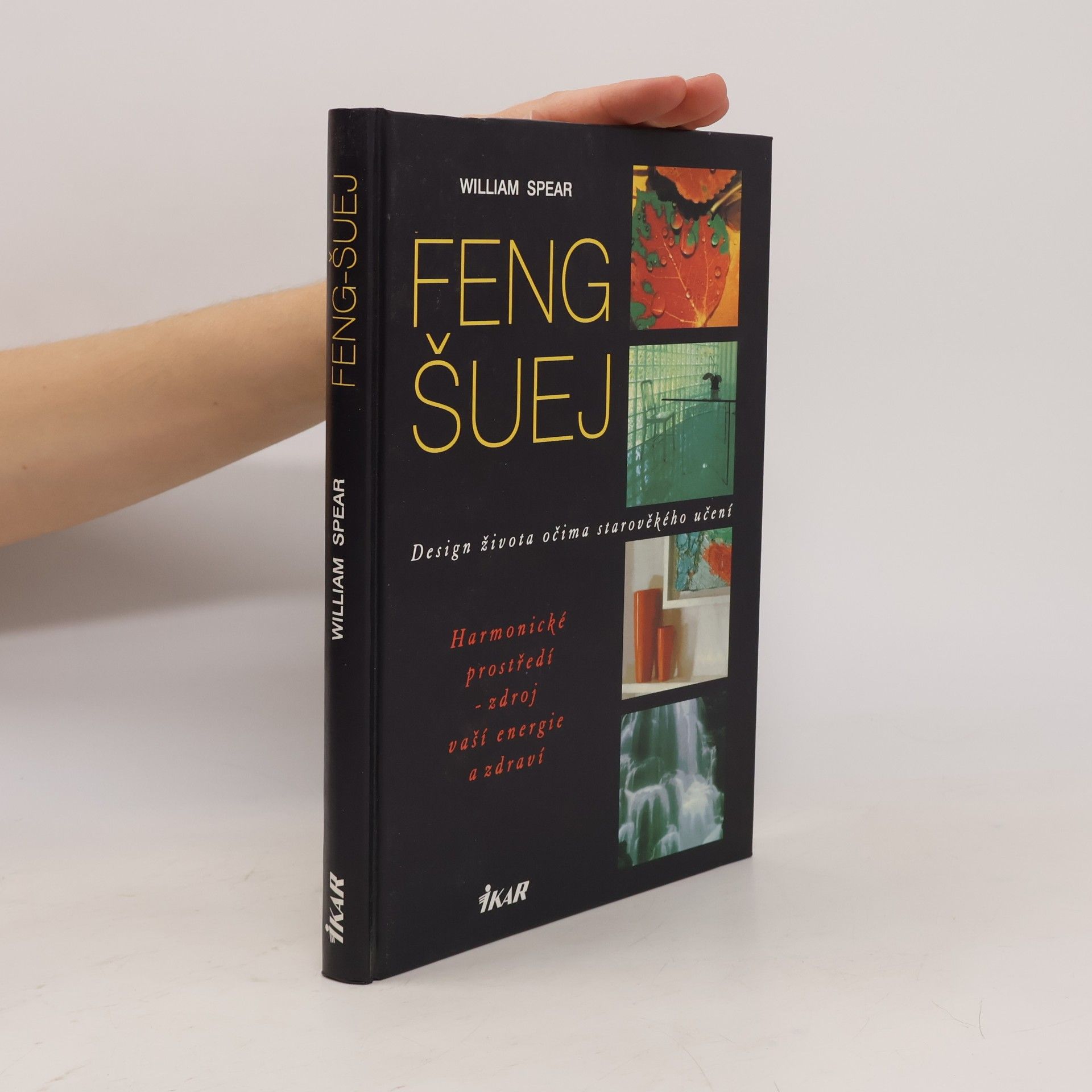 Zdeňka Vasiljevová Feng šuej