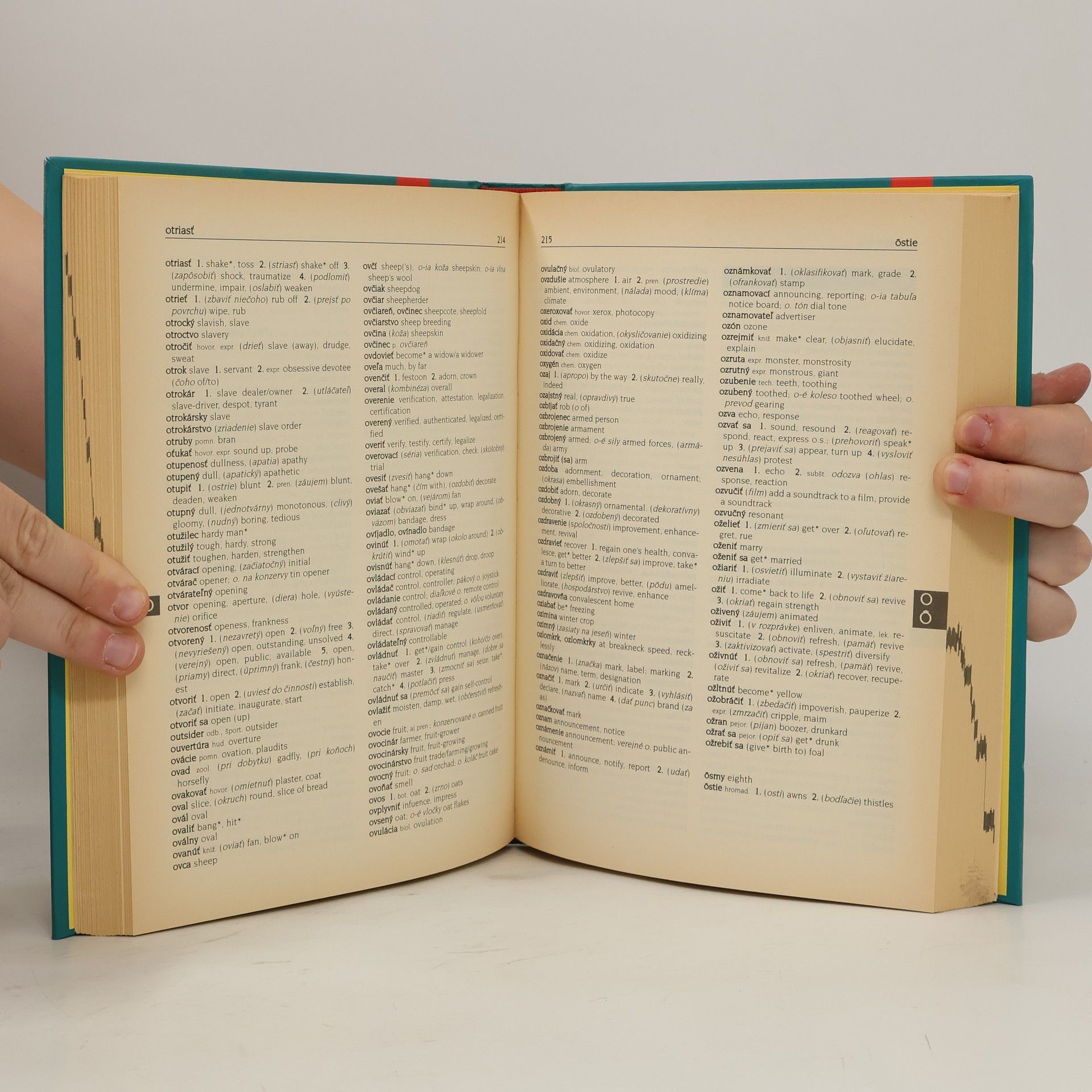 Tatiana Langová Slovensko-anglický slovník : Slovak-Englich Dictionary