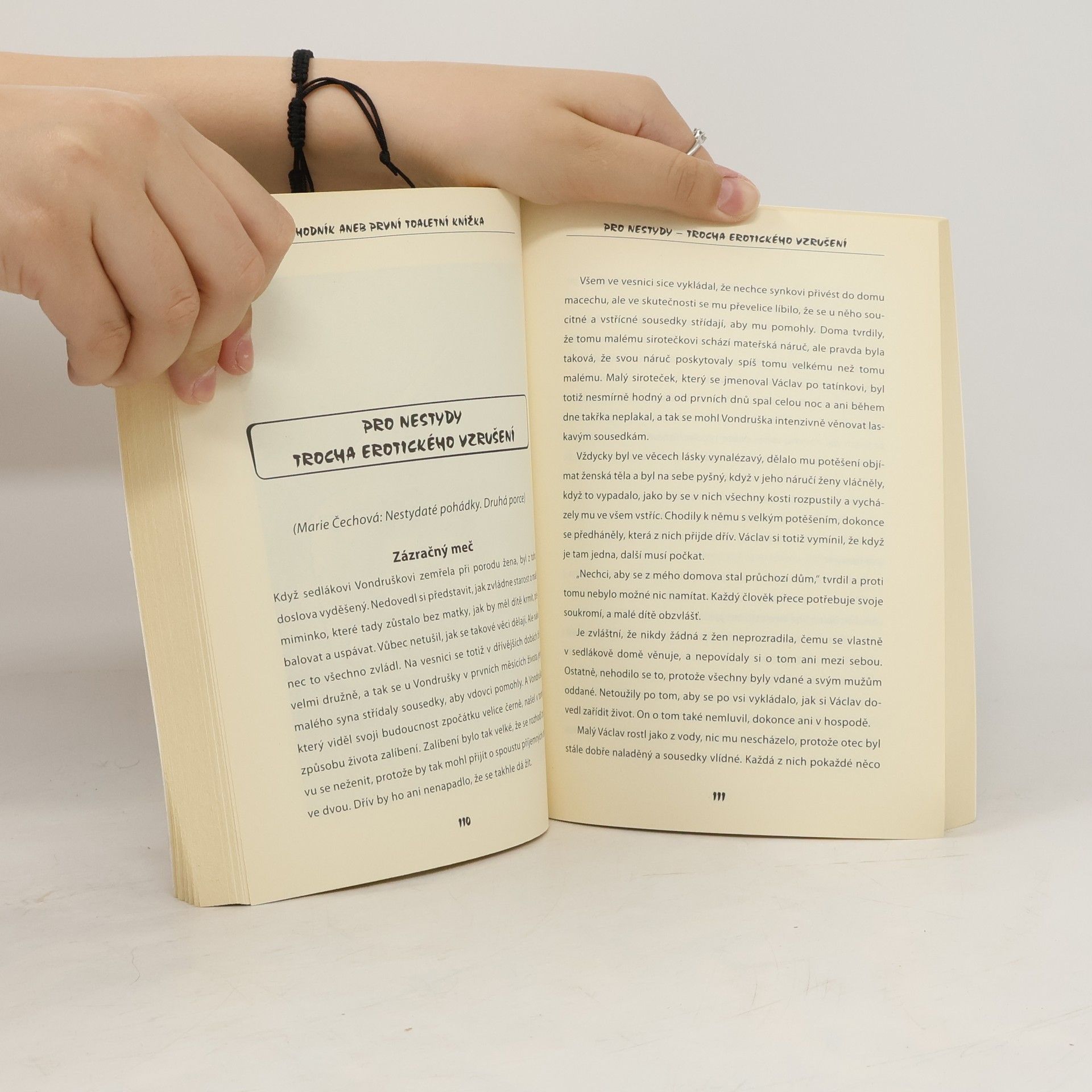 Autorenkollektiv Záchodník, aneb, První toaletní knížka