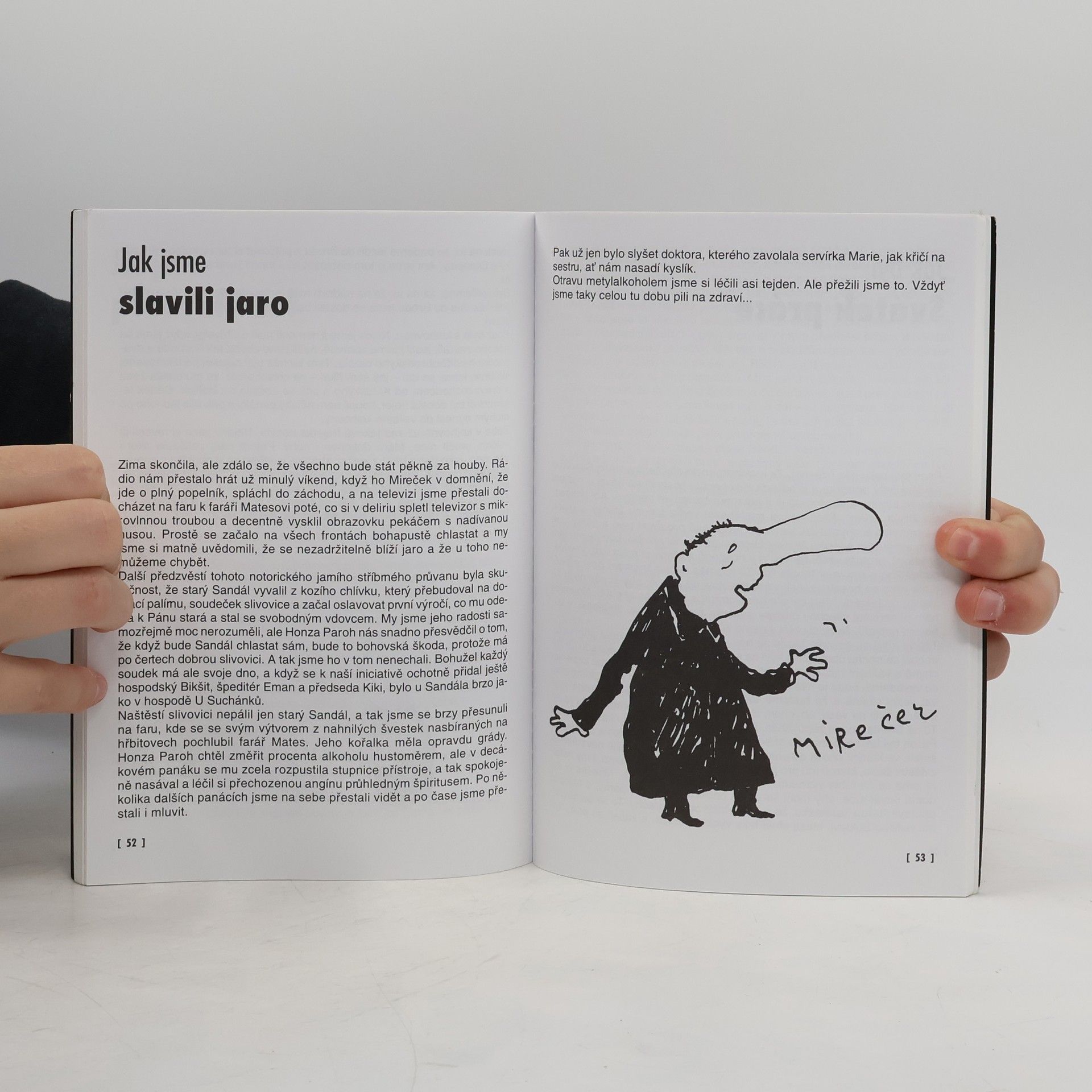 Jiří Gambrinus Havlíček Sorry, aneb, Bikšitův kalendář