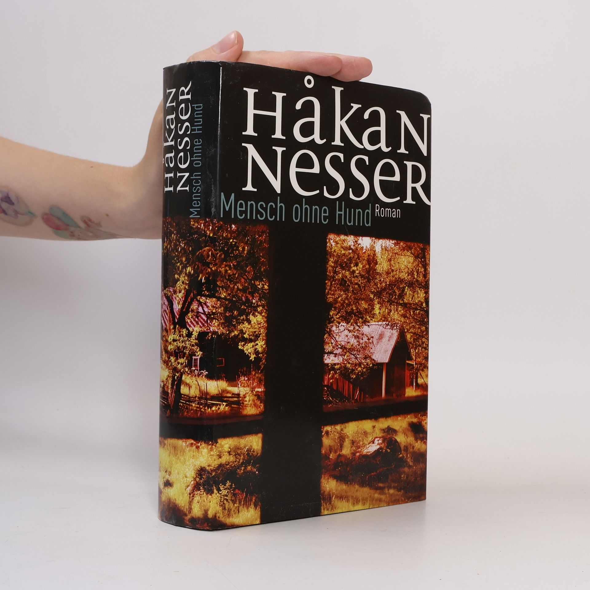 Håkan Nesser Mensch ohne Hund