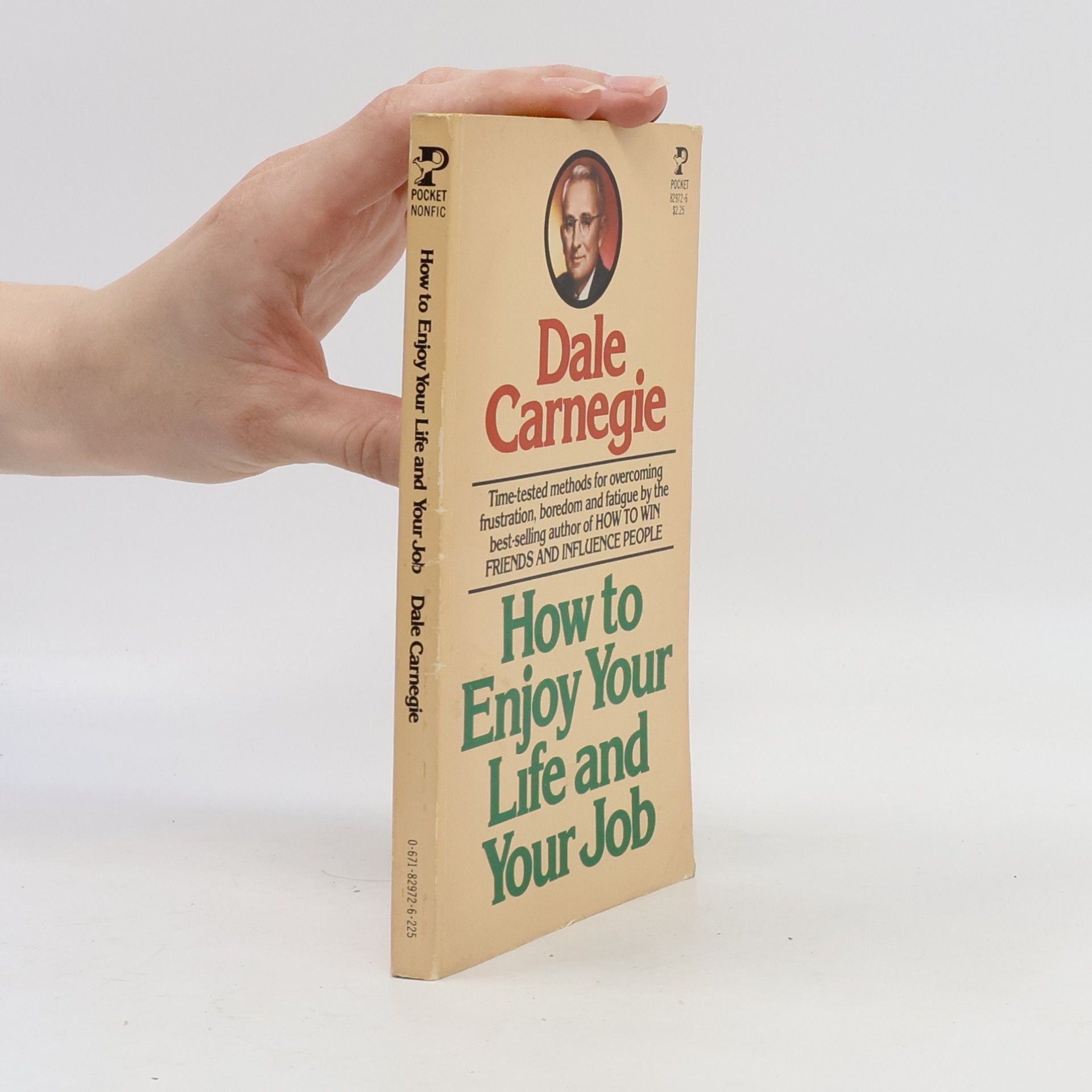 Dale Carnegie How to Enjoy Your Life and Your Job