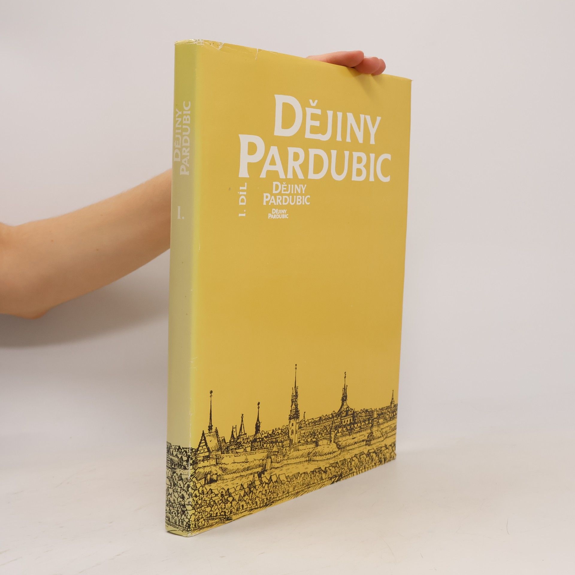 Dějiny Pardubic. I. díl