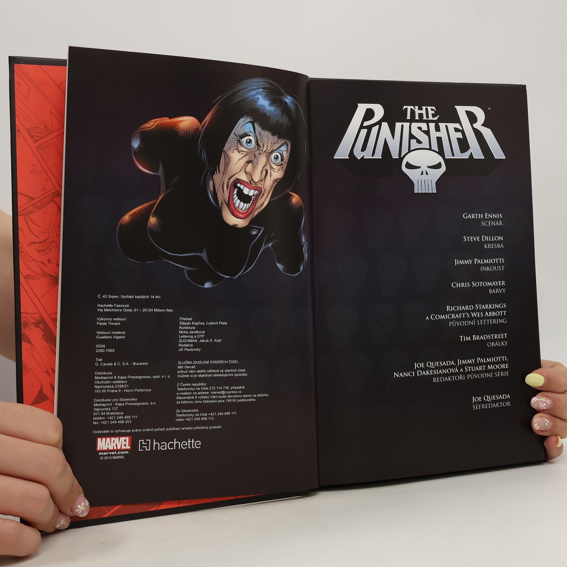 Garth Ennis Ultimátní komiksový komplet 17. The Punisher