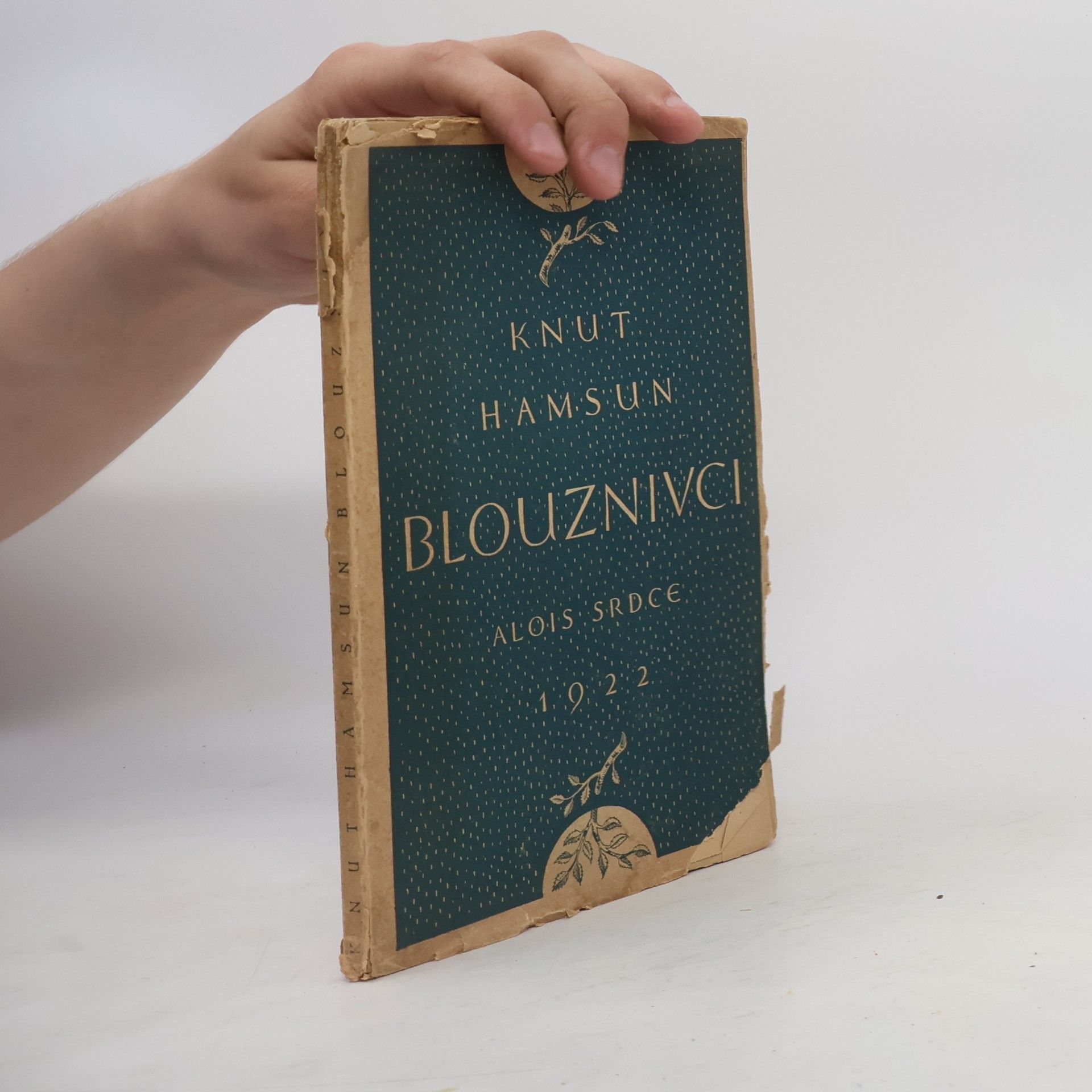 Knut Hamsun Blouznivci