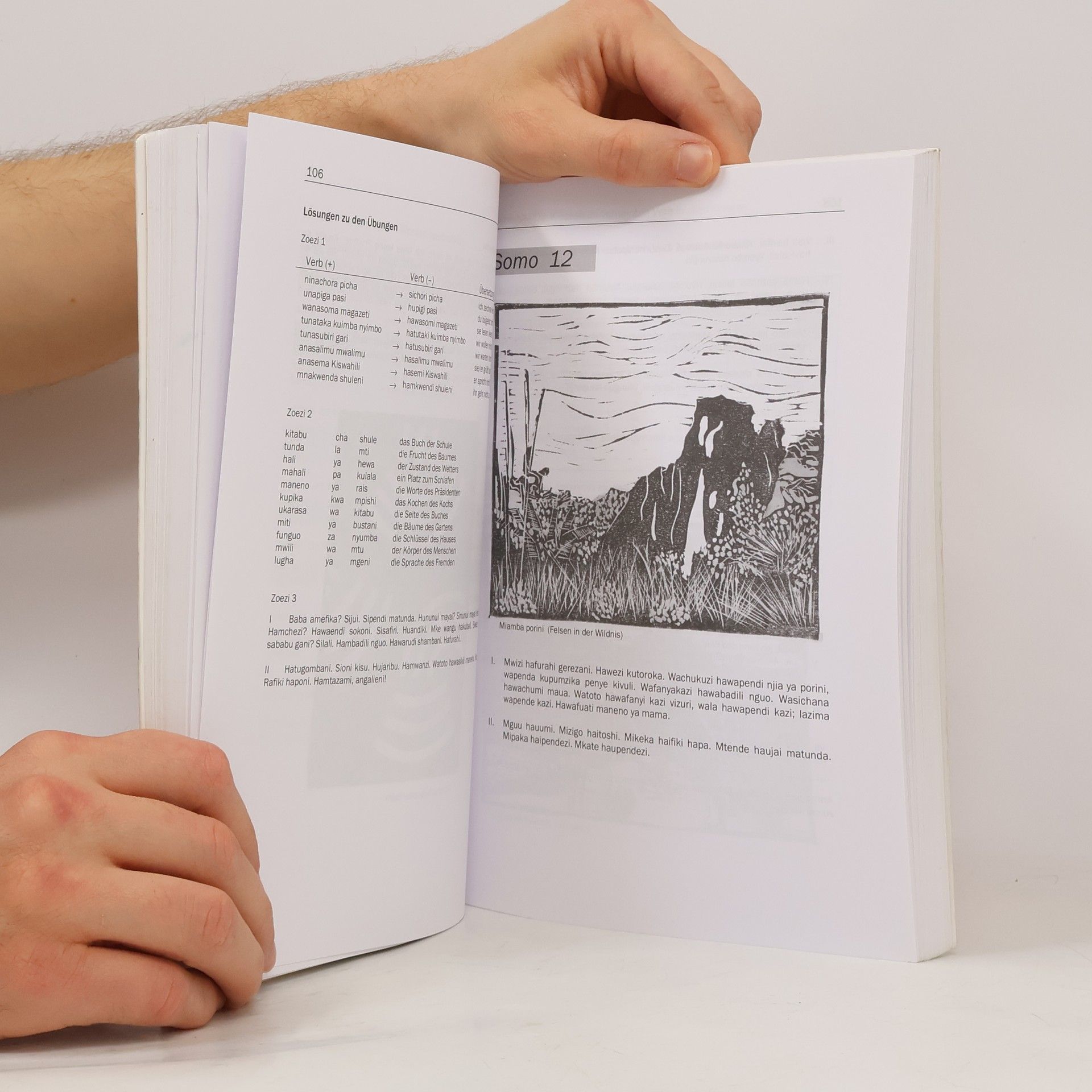 Beat Wandeler Lehrbuch des Swahili für Anfänger